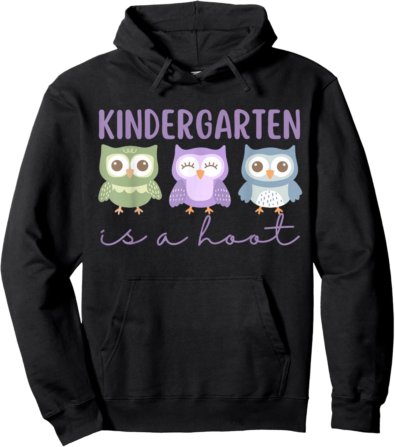 Preschooler Owl Back to School Kindergarten is a Hoot Hoodie - Hoodie | Black