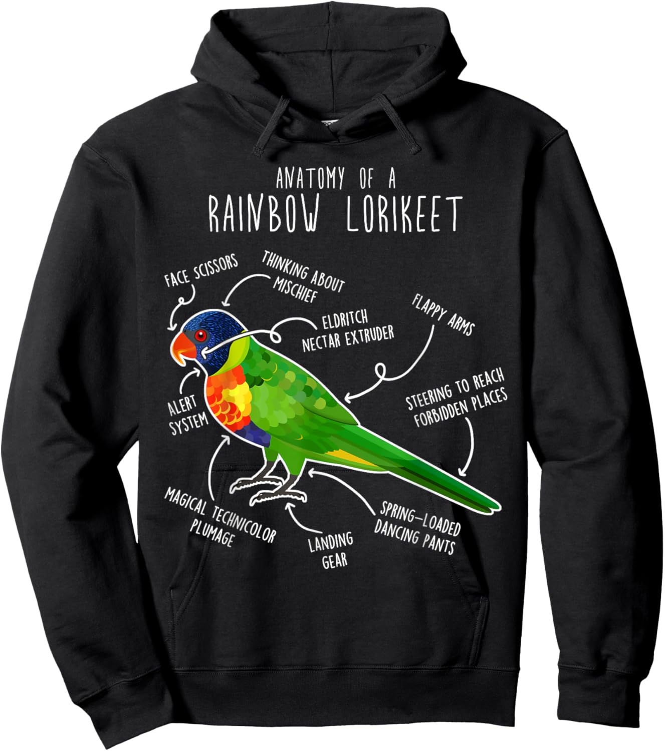 Rainbow Lorikeet Parrot Anatomy, Funny Cute Pet Lover Bird Hoodie - Hoodie | Black