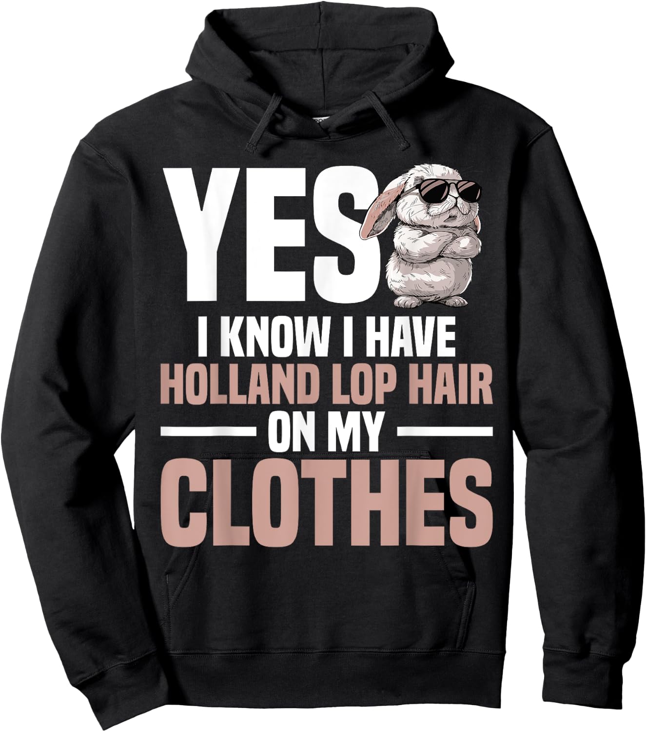 Holland Lop Bunny Owner Stuffed Animal Holland Lop Bunny Hoodie - Hoodie | Black