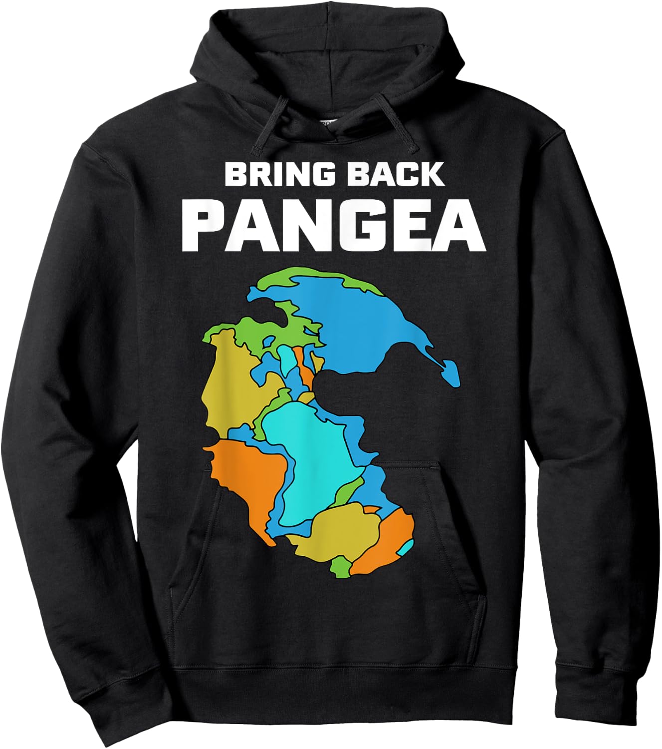 Bring Back Pangea Funny Hoodie - Hoodie | Black