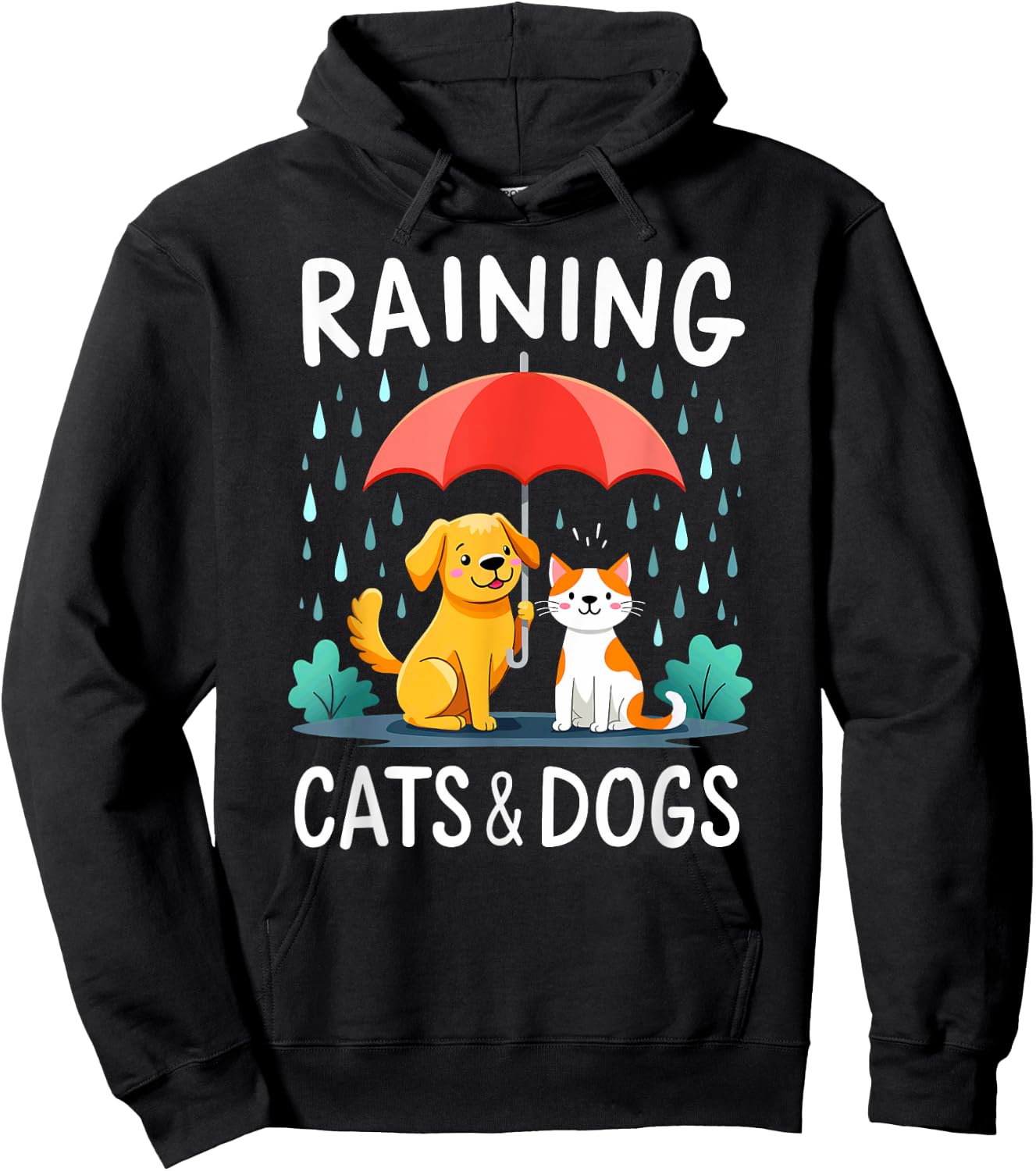 English Teacher Idiom Raining Cats And Dogs Hoodie - Hoodie | Black