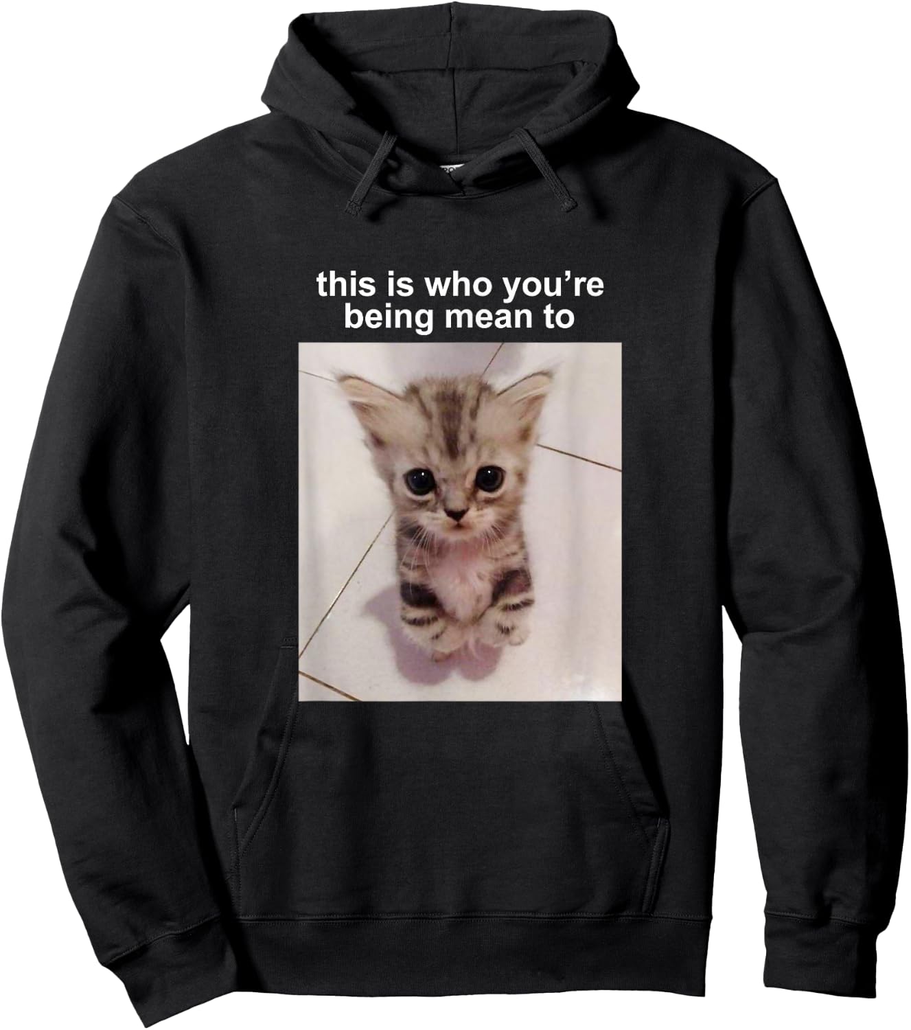 This is Who You're Being Mean to Silly Cat Meme Hoodie - Hoodie | Black
