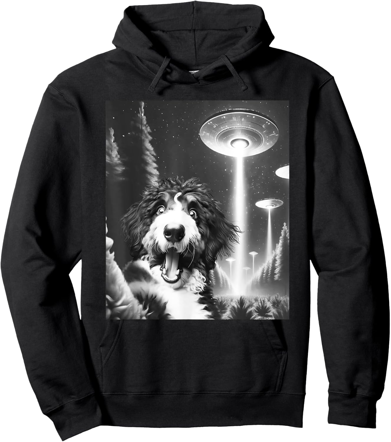 Funny Bernedoodle Alien UFO Taking a Selfie Dog Mom Dad Men Women Kids Hoodie - Hoodie | Black