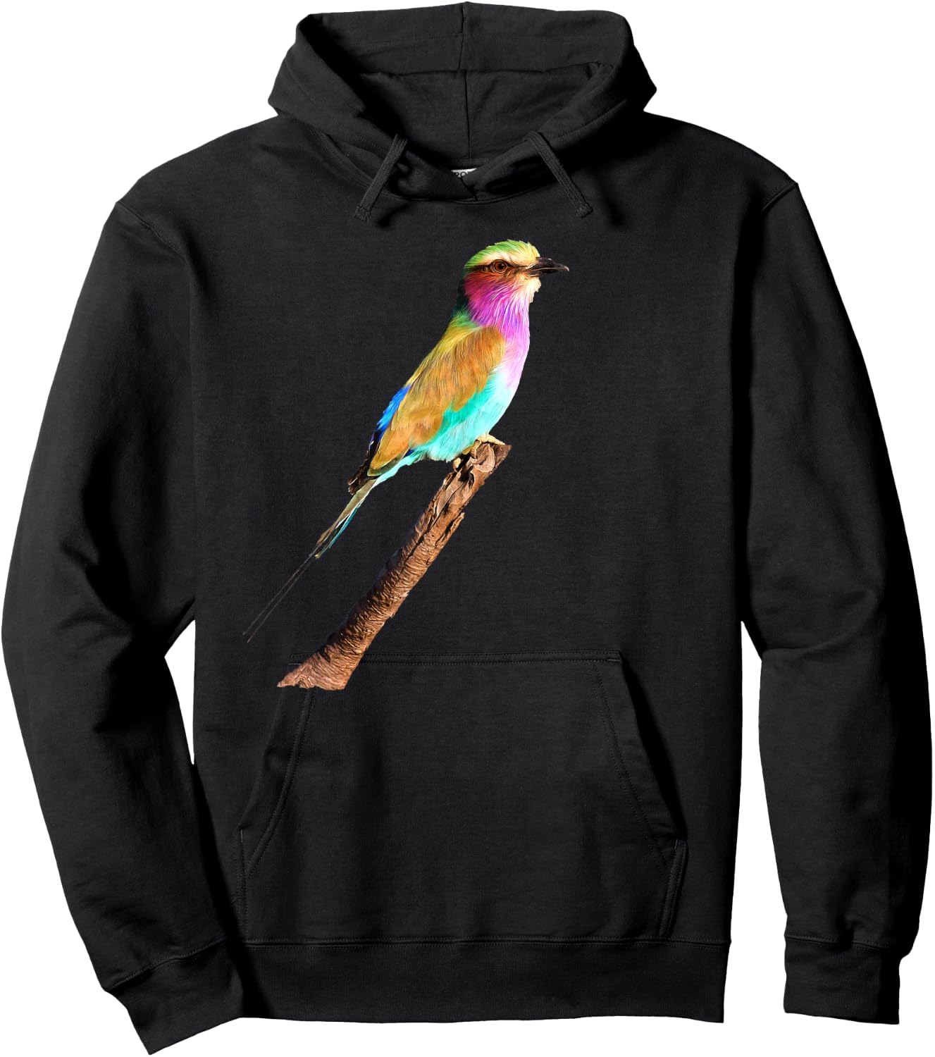 Lilac-breasted Roller Artwork for Bird Watchers Hoodie - Hoodie | Black