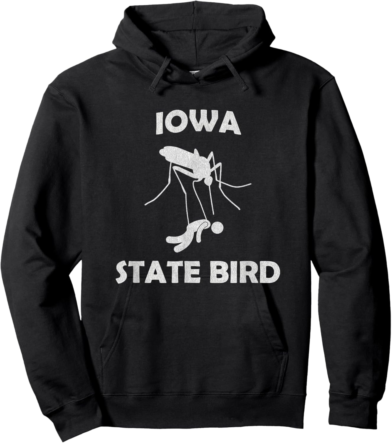 Iowa Mosquito State Bird Funny Outdoors Camping Hoodie - Hoodie | Black