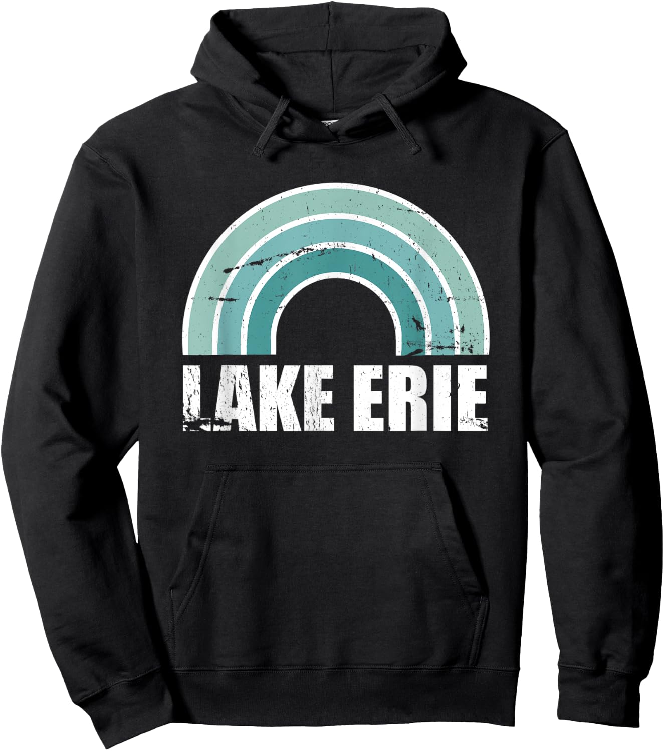 Lake Erie Michigan Family Vacation Hoodie - Hoodie | Black