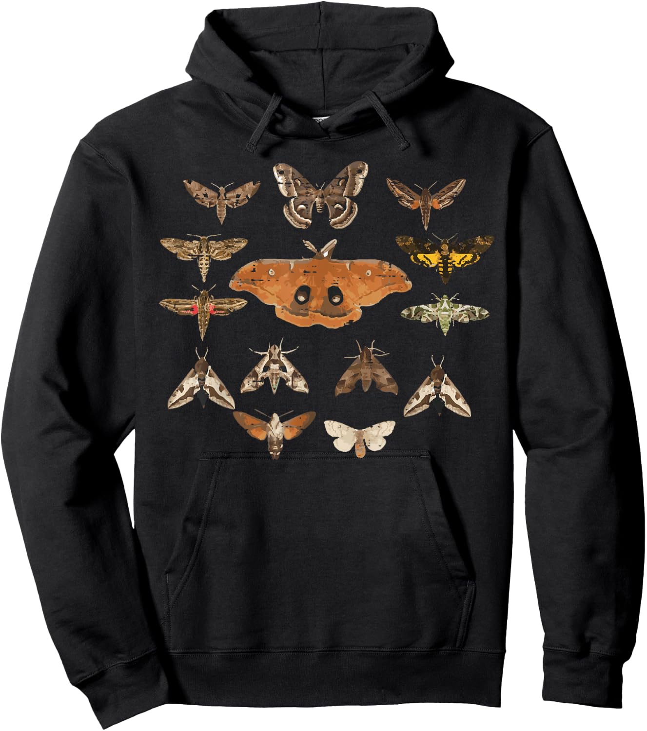 Moth Kinds Retro Lepidoptera Insect Entomology Men Women Kid Hoodie - Hoodie | Black