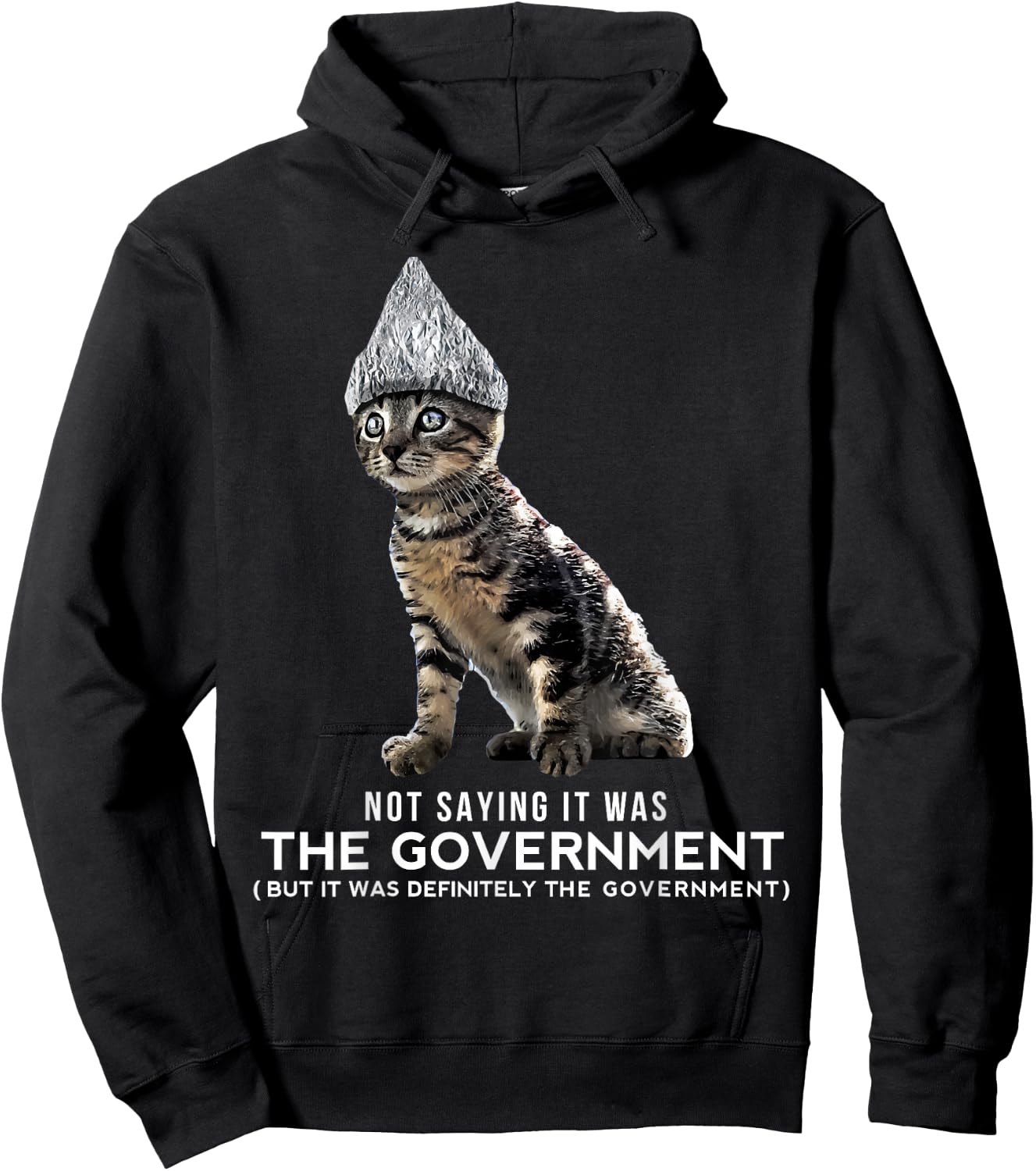 Funny Conspiracy Cat Tin Foil Hat Government Shirt Gift Men Hoodie - Hoodie | Black