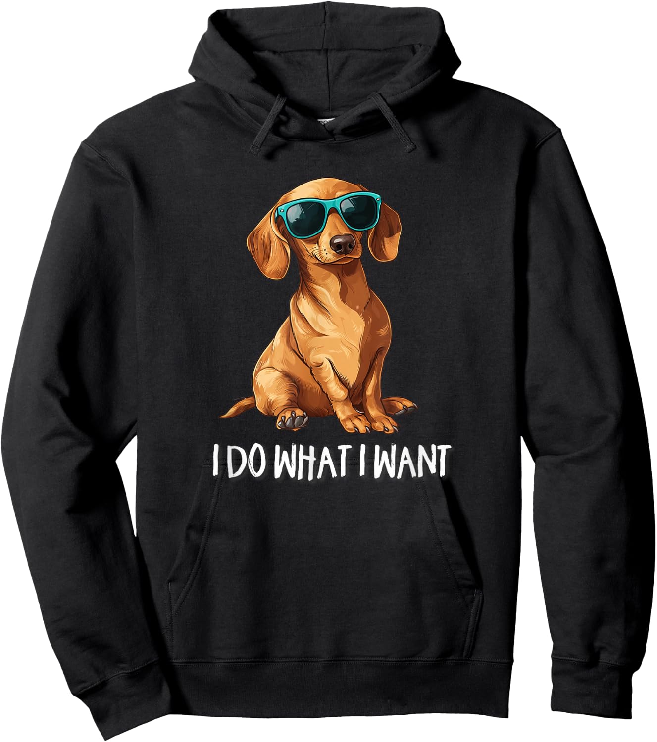 Kids Funny Do What I Want Dachshund Lover Hoodie - Hoodie | Black