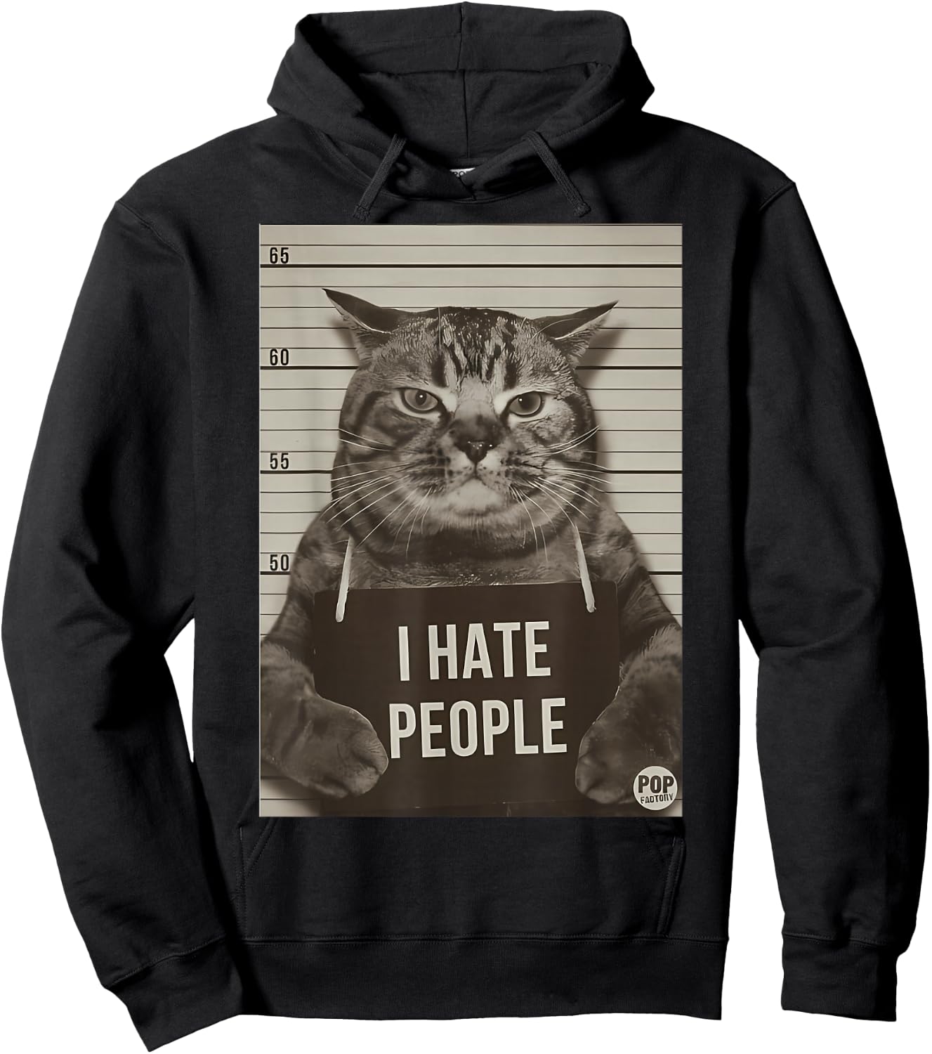 Cat funny, Cats love, Cats I Hate People Hoodie - Hoodie | Black