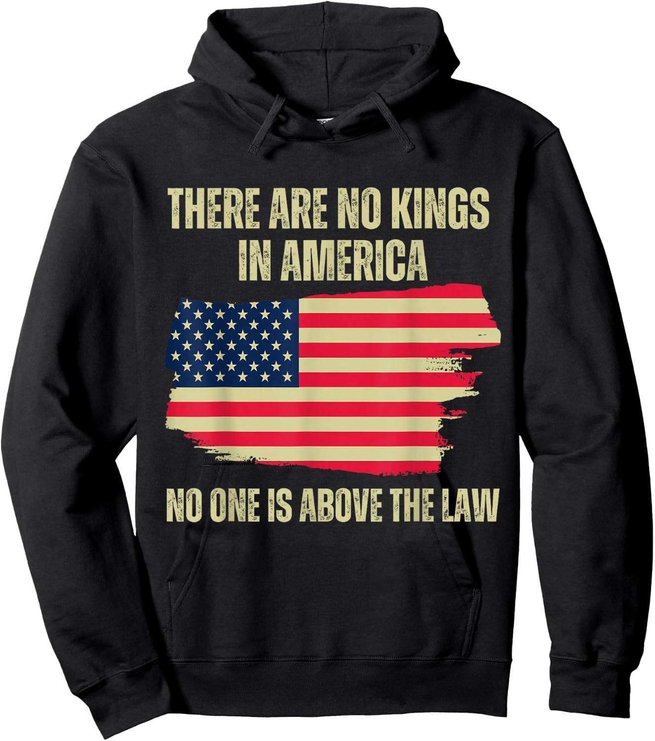 There are no kings in America, 2024 US flag Hoodie - Hoodie | Black