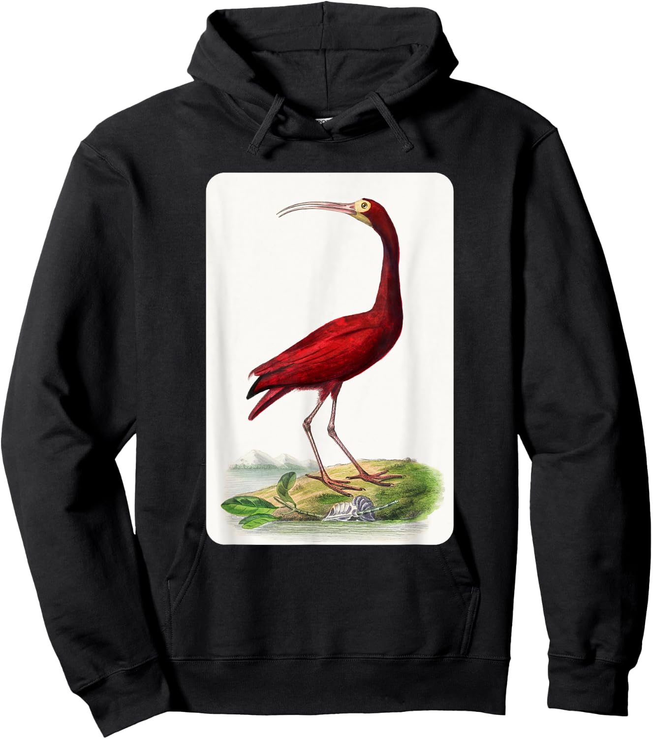 Vintage Scarlet Ibis Bird Illustration Animal Lover Hoodie - Hoodie | Black