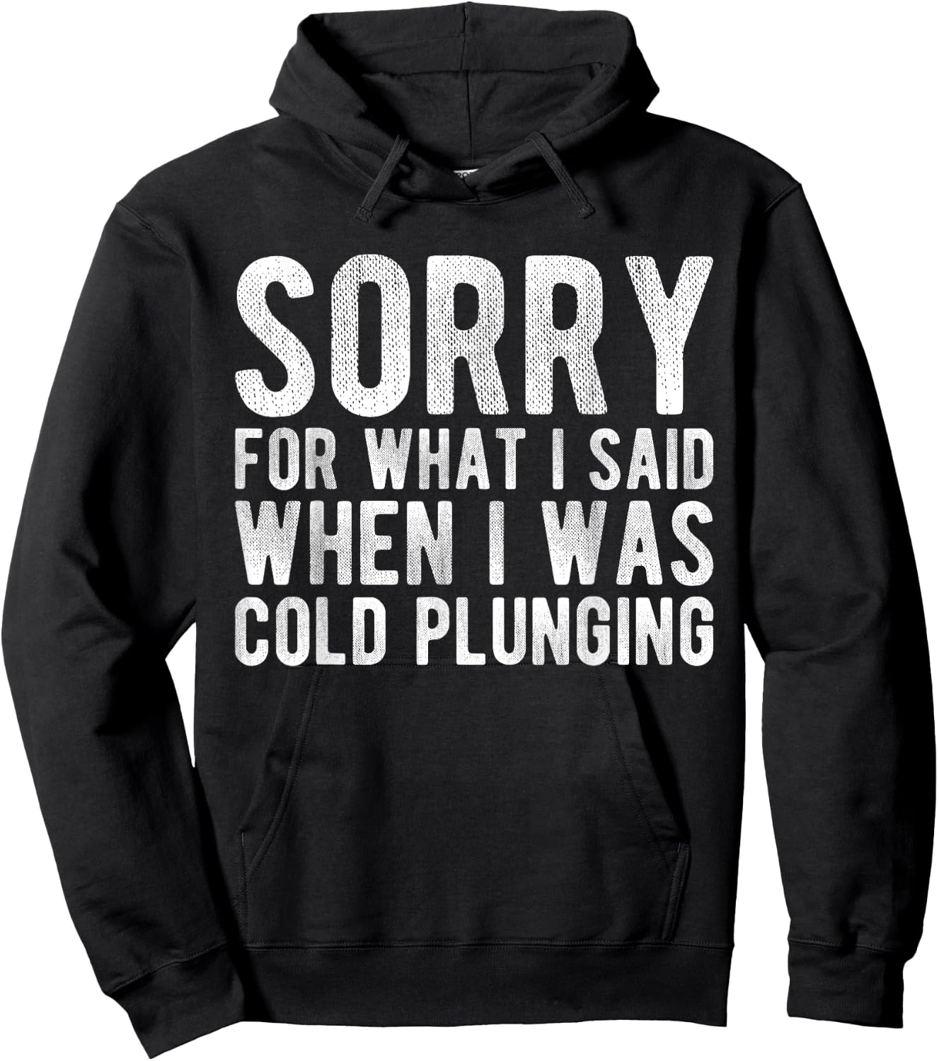 Sorry For What I Said When I Was Cold Plunging Hoodie - Hoodie | Black