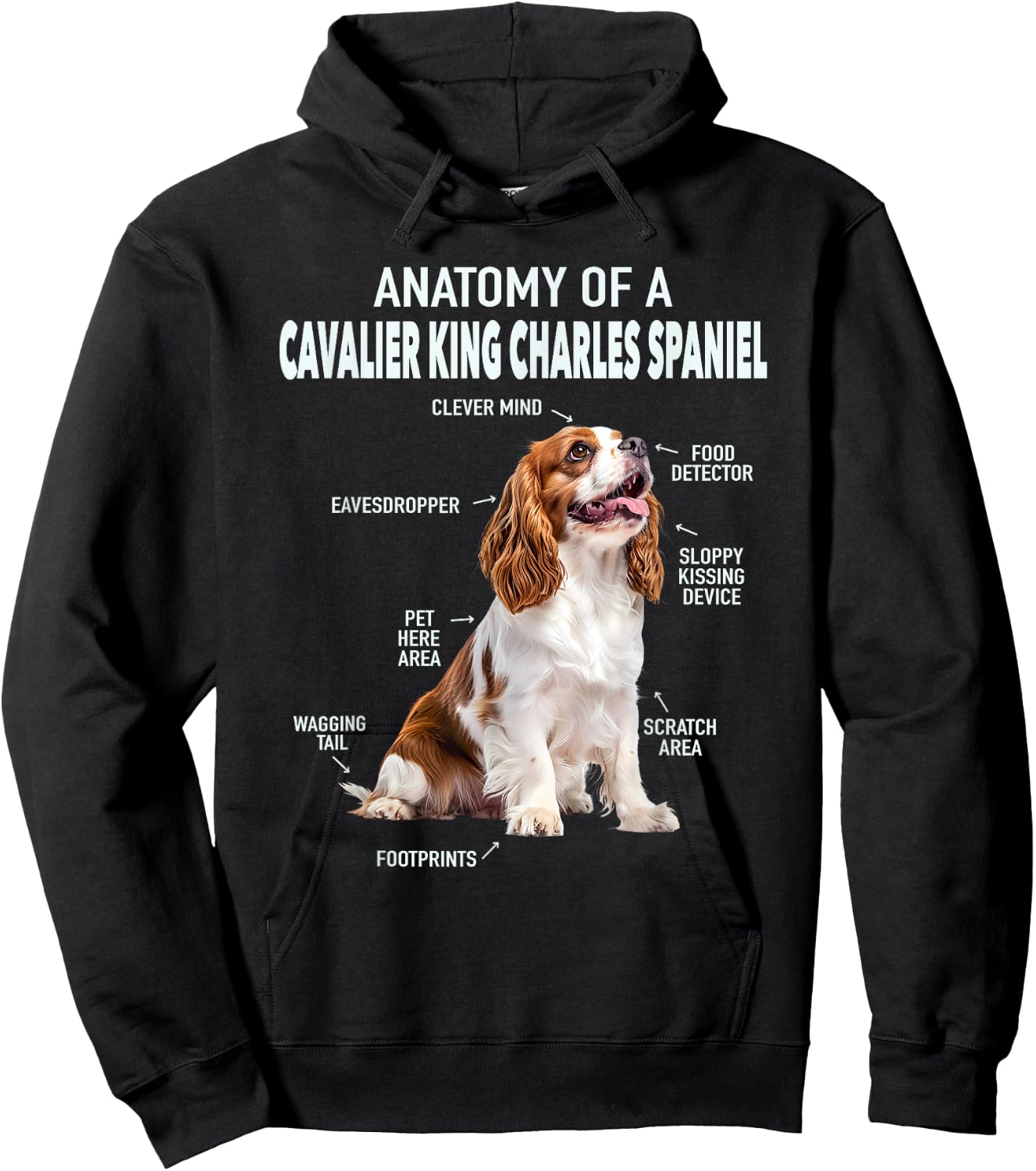 Anatomy Of A Cavalier King Charles Spaniel Hoodie - Hoodie | Black