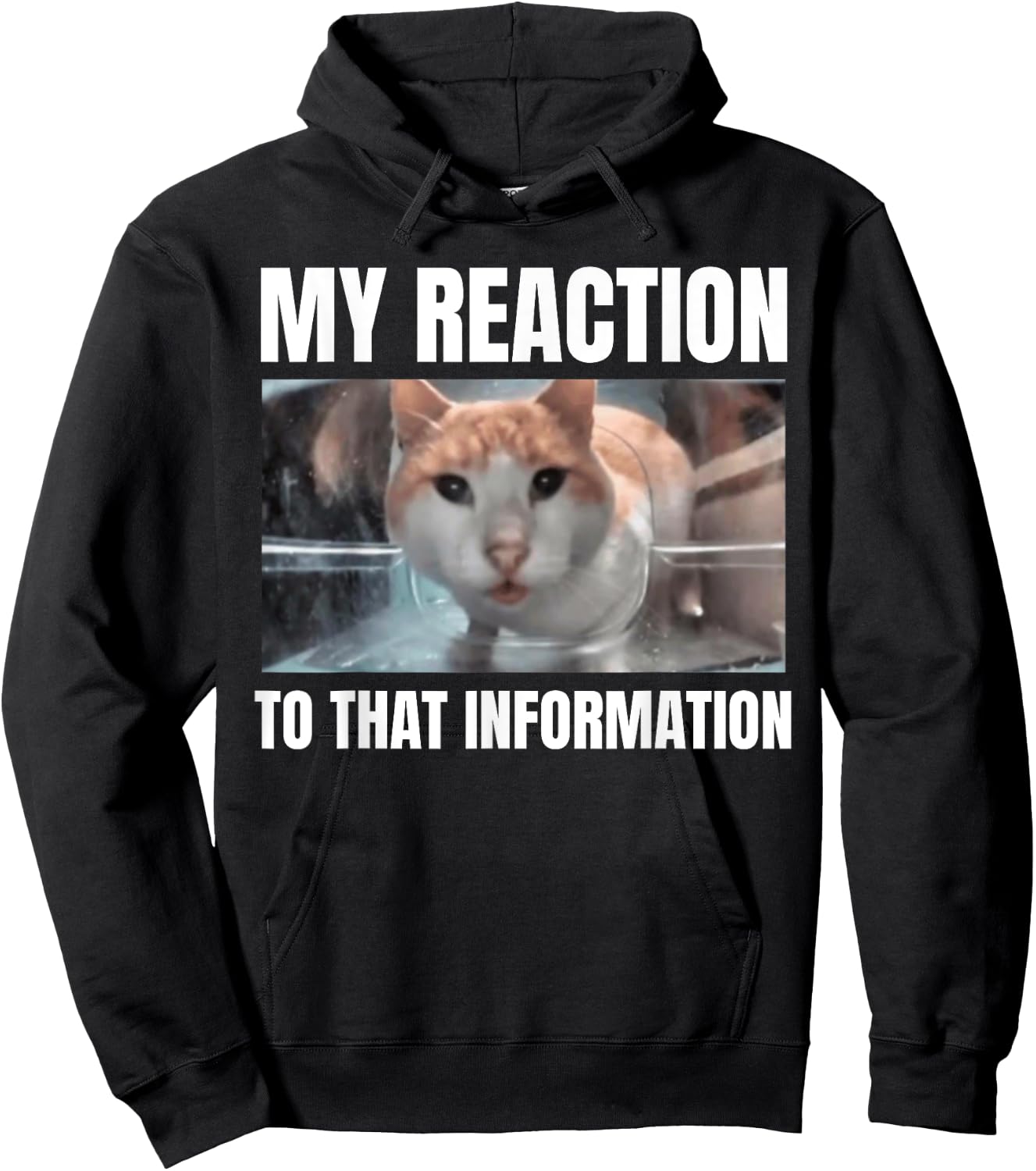Hello Street Cat Funny Staring Bombastic Side Eye Meme Cats Women Hoodie - Hoodie | Black
