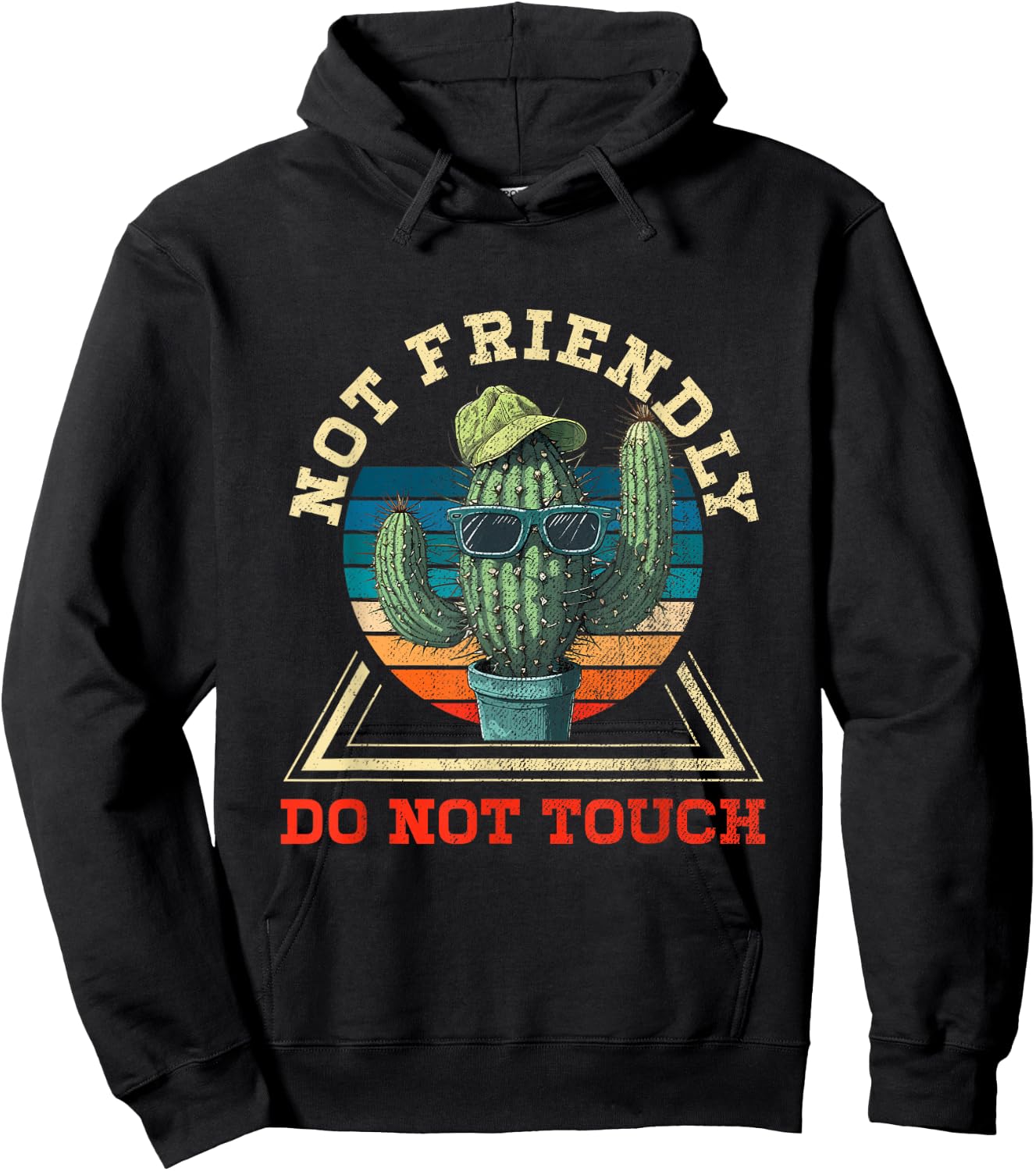Funny Sarcastic Quote Not Friendly Dont Touch Cactus Hoodie - Hoodie | Black