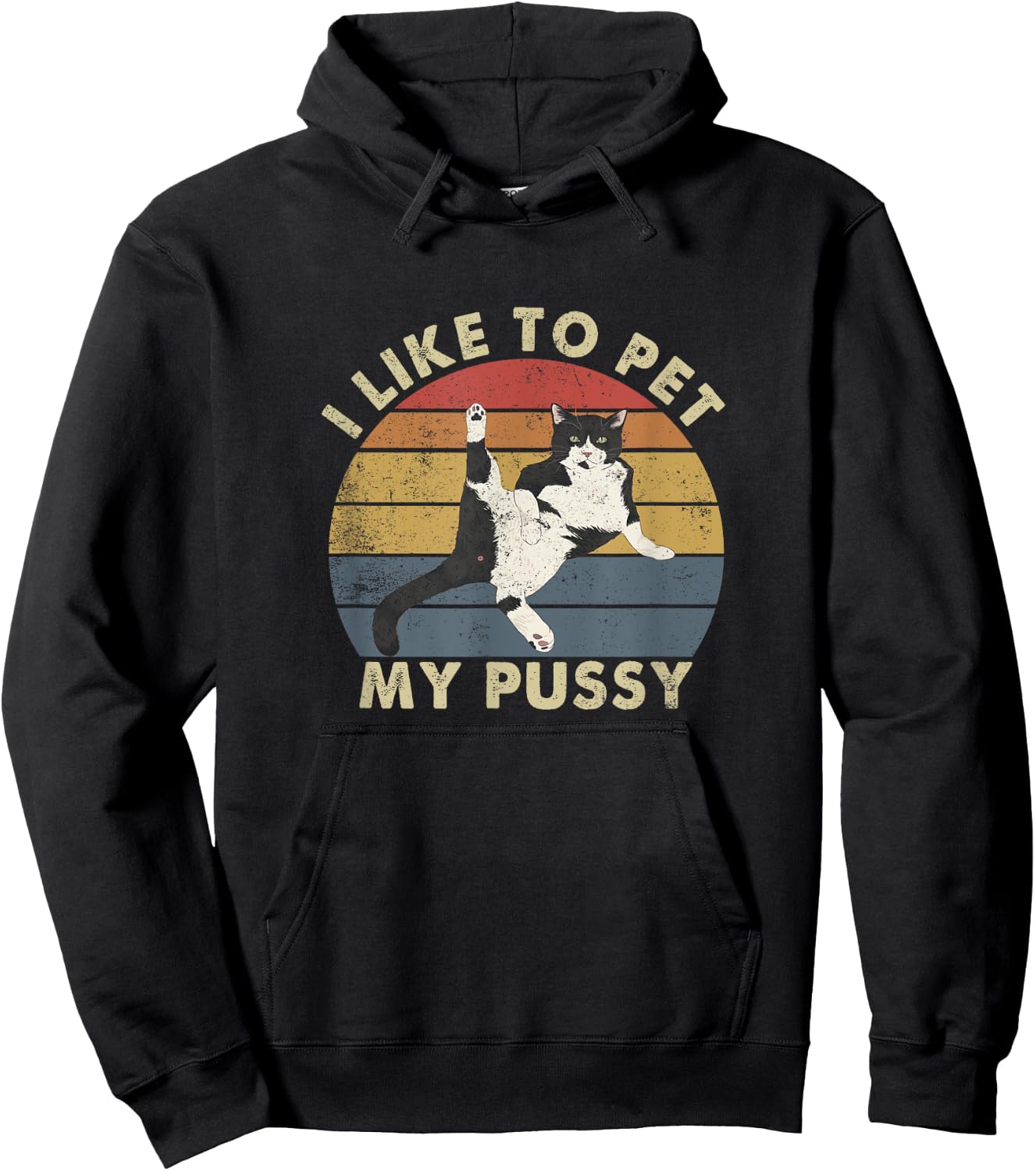 Like To Pet My Pussy Naughty Adult Cat Humor Saying Hoodie - Hoodie | Black