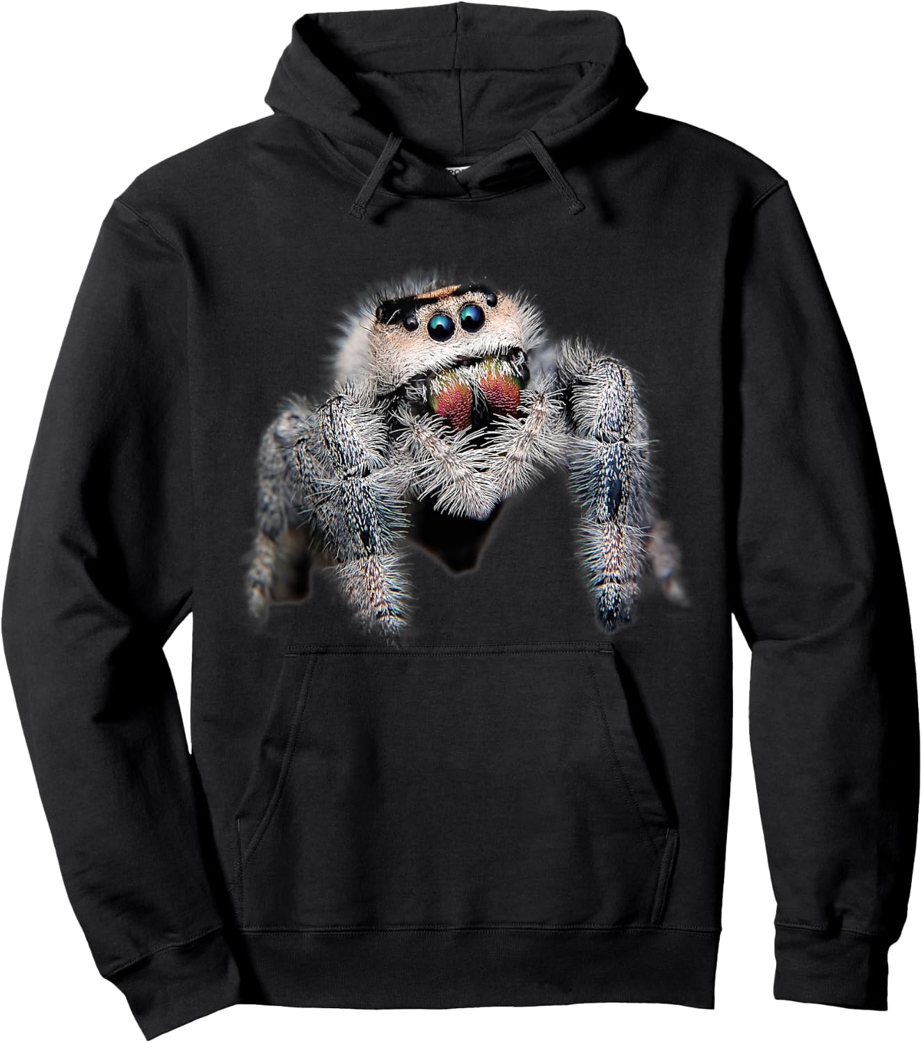 Arachnid Pet Spider Salticidae - Cute Spider Hoodie - Hoodie | Black