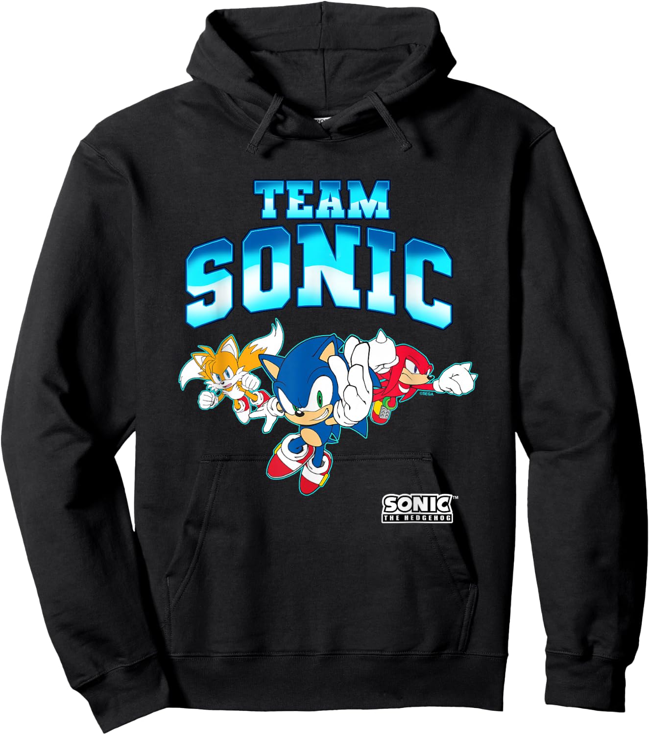 Sonic The Hedgehog Team Sonic Epic Group Shot Hoodie - Hoodie | Black