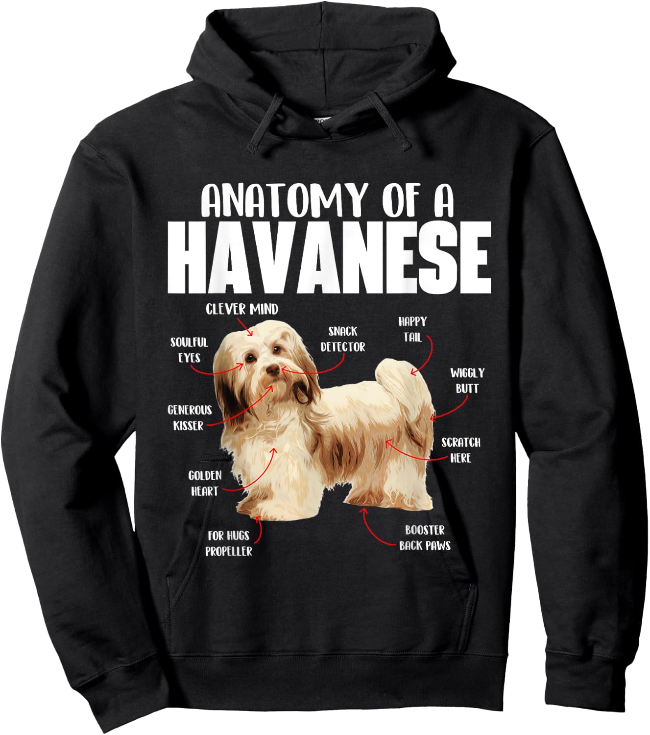 Havanese Dog Shirts Anatomy Of A Havanese - Cuban Havaneser Havanezer Hoodie - Hoodie | Black