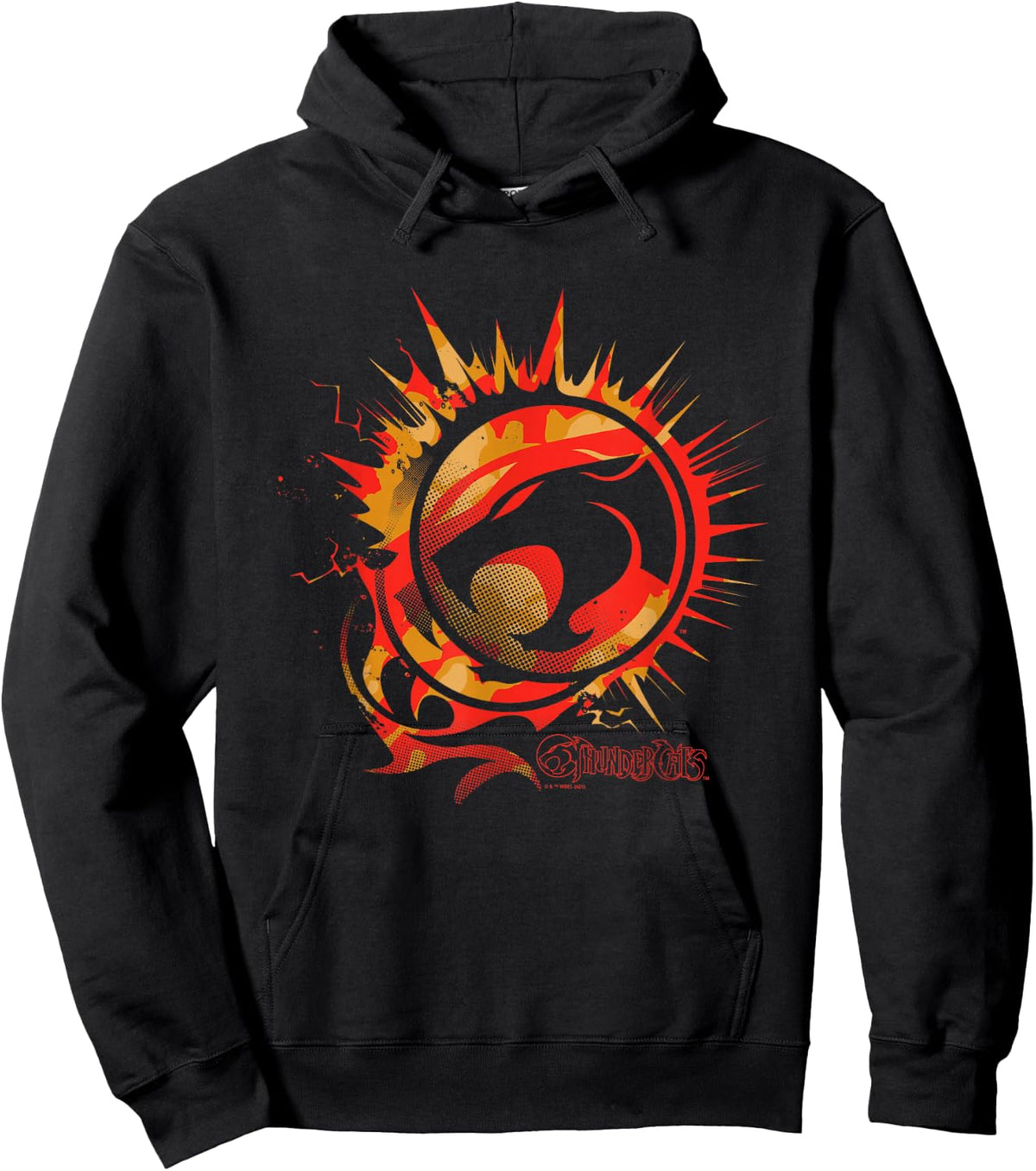 ThunderCats Logo on Fire Hoodie - Hoodie | Black