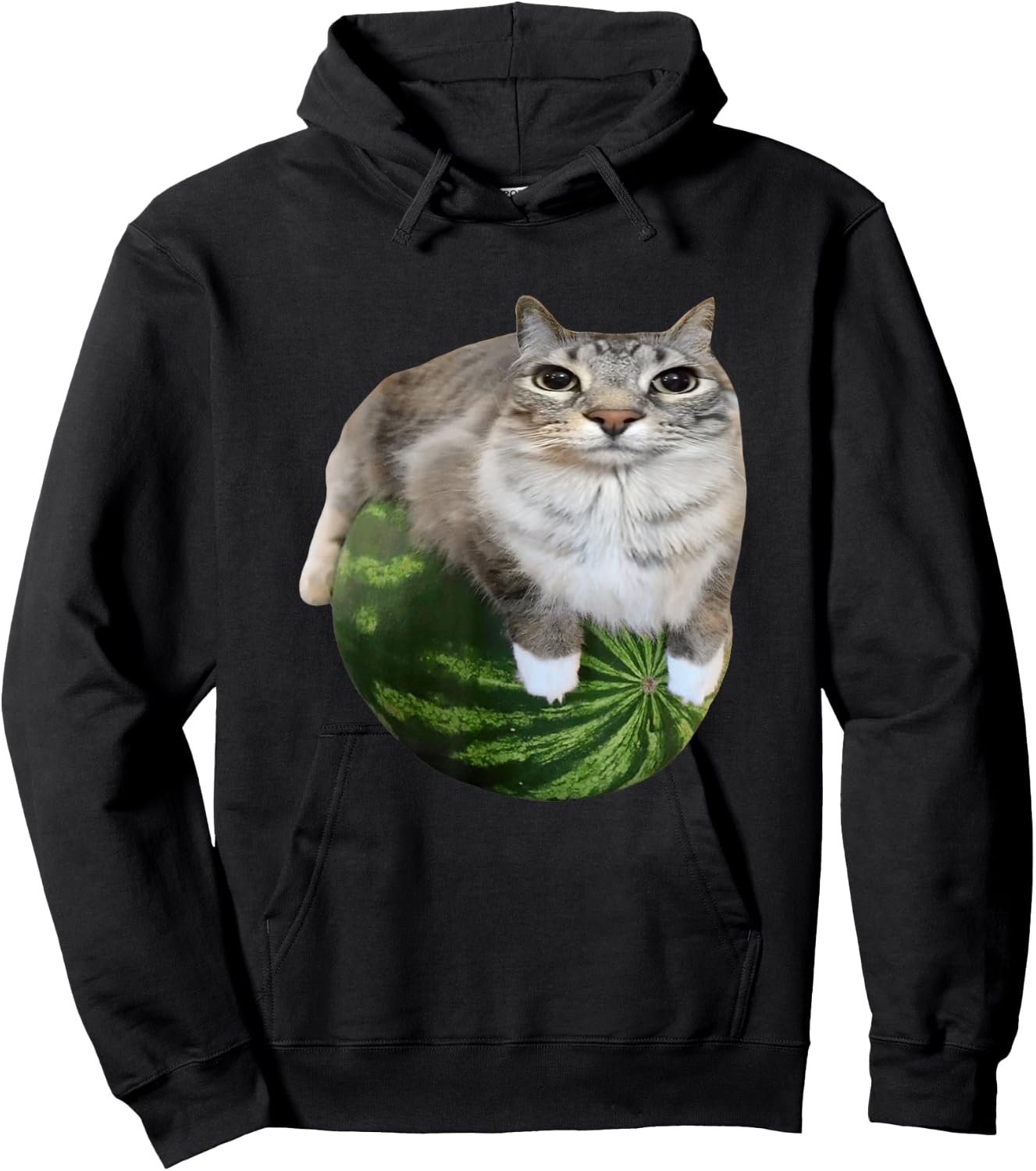 Watermelon Cat Silly Cat Meme Hoodie - Hoodie | Black