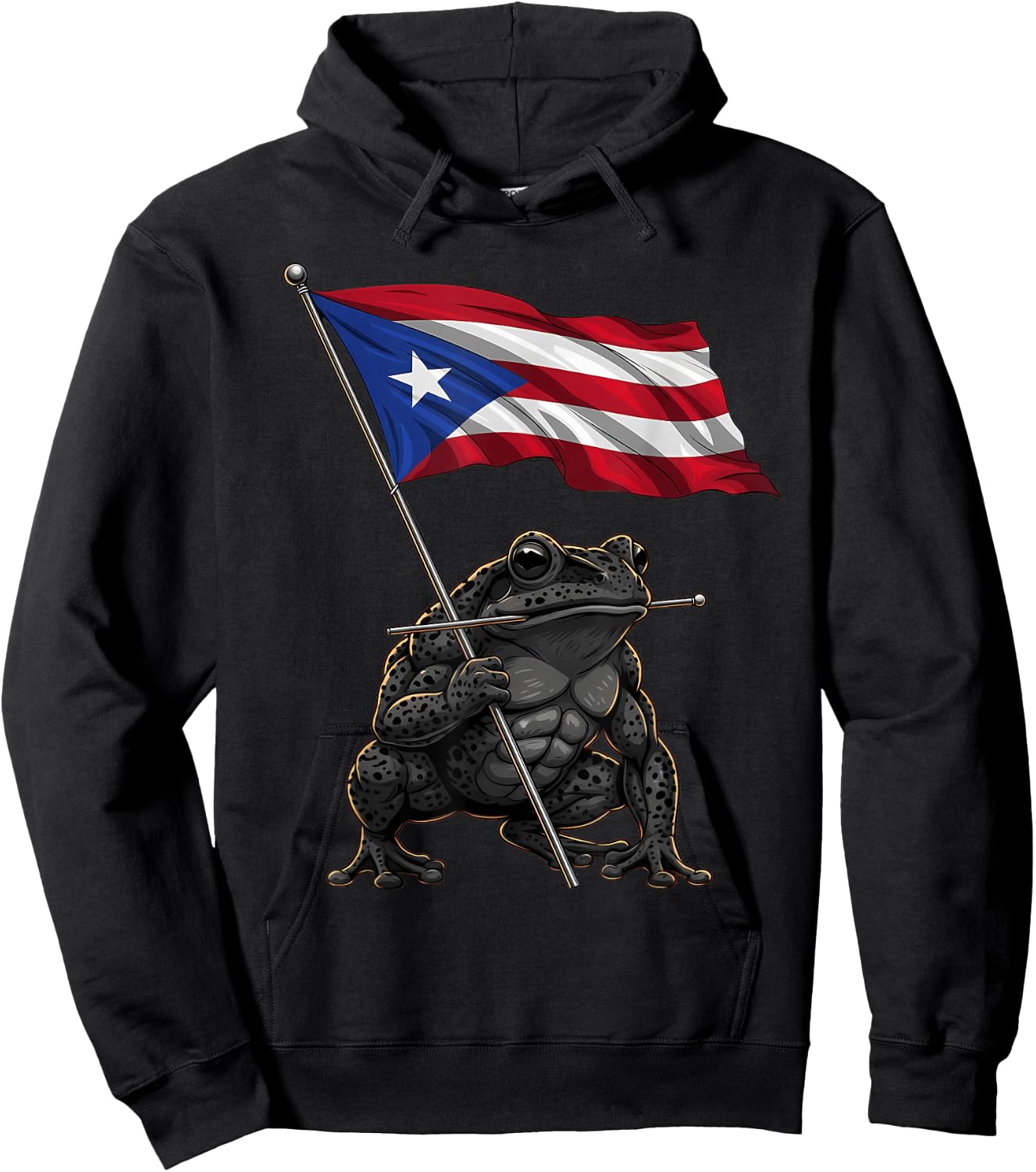 Coqui Frog Puerto Rico Taino Puerto Rican Flag Boricua Hoodie - Hoodie | Black