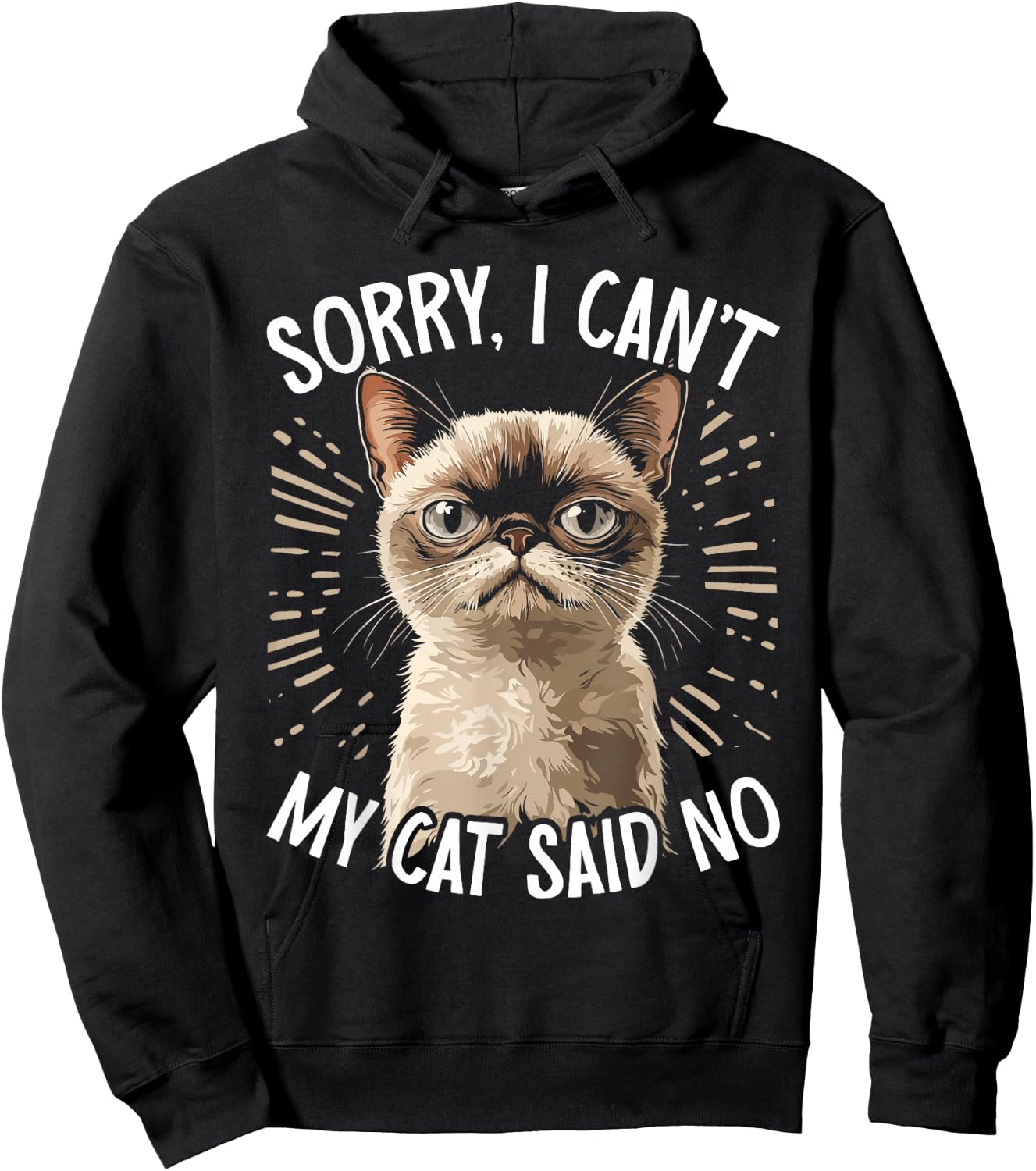Cat Owner Sorry I Can't My Cat Said No Funny Cat Hoodie - Hoodie | Black