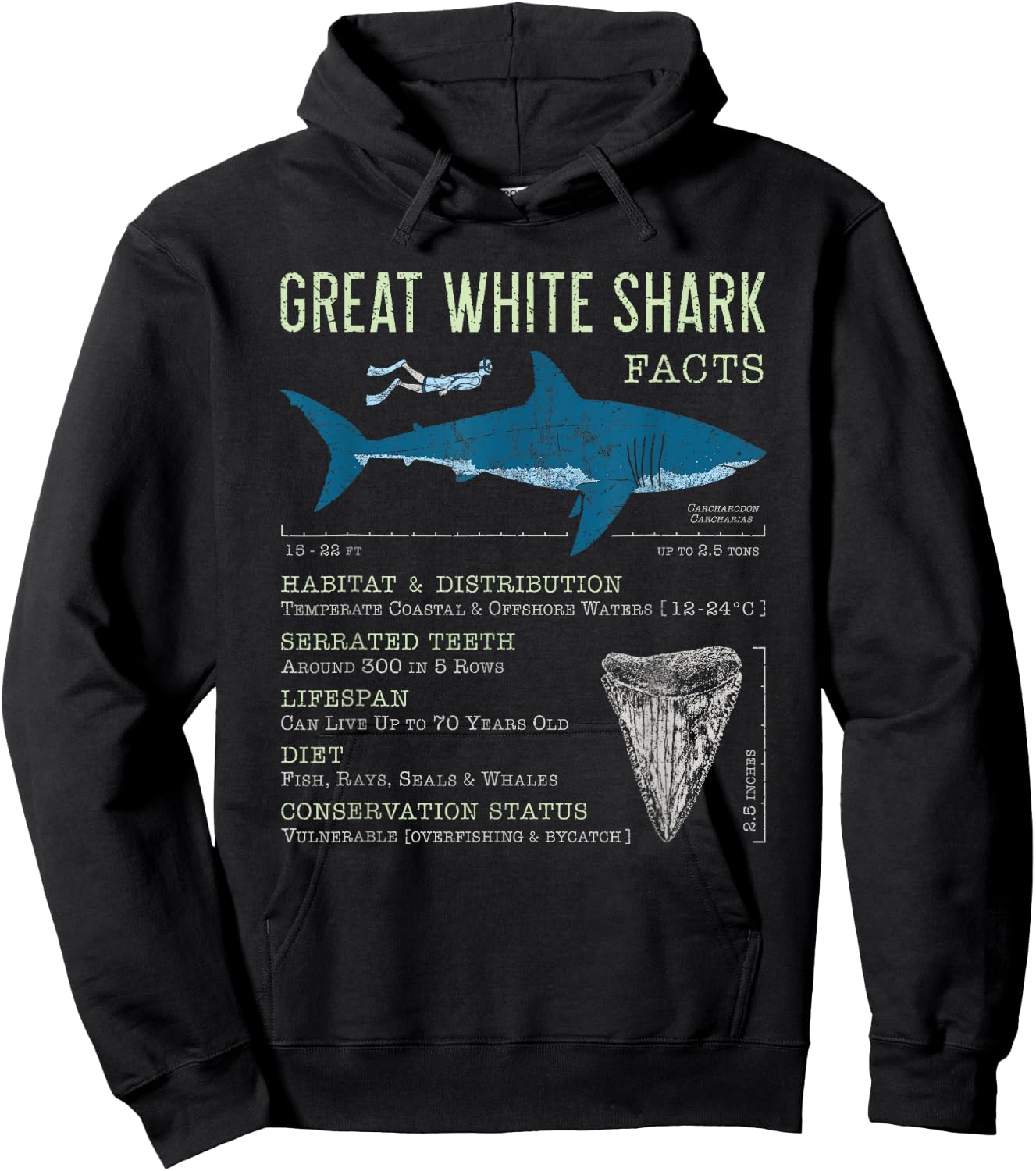 Great White Shark Facts Educational Shark Lover Sharks Tooth Hoodie - Hoodie | Black