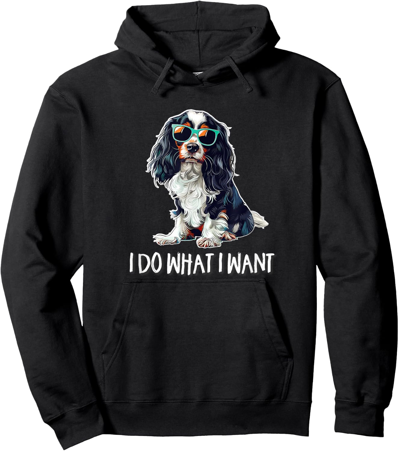 Funny Do What I Want Tricolor Cavalier Spaniel Lover Hoodie - Hoodie | Black