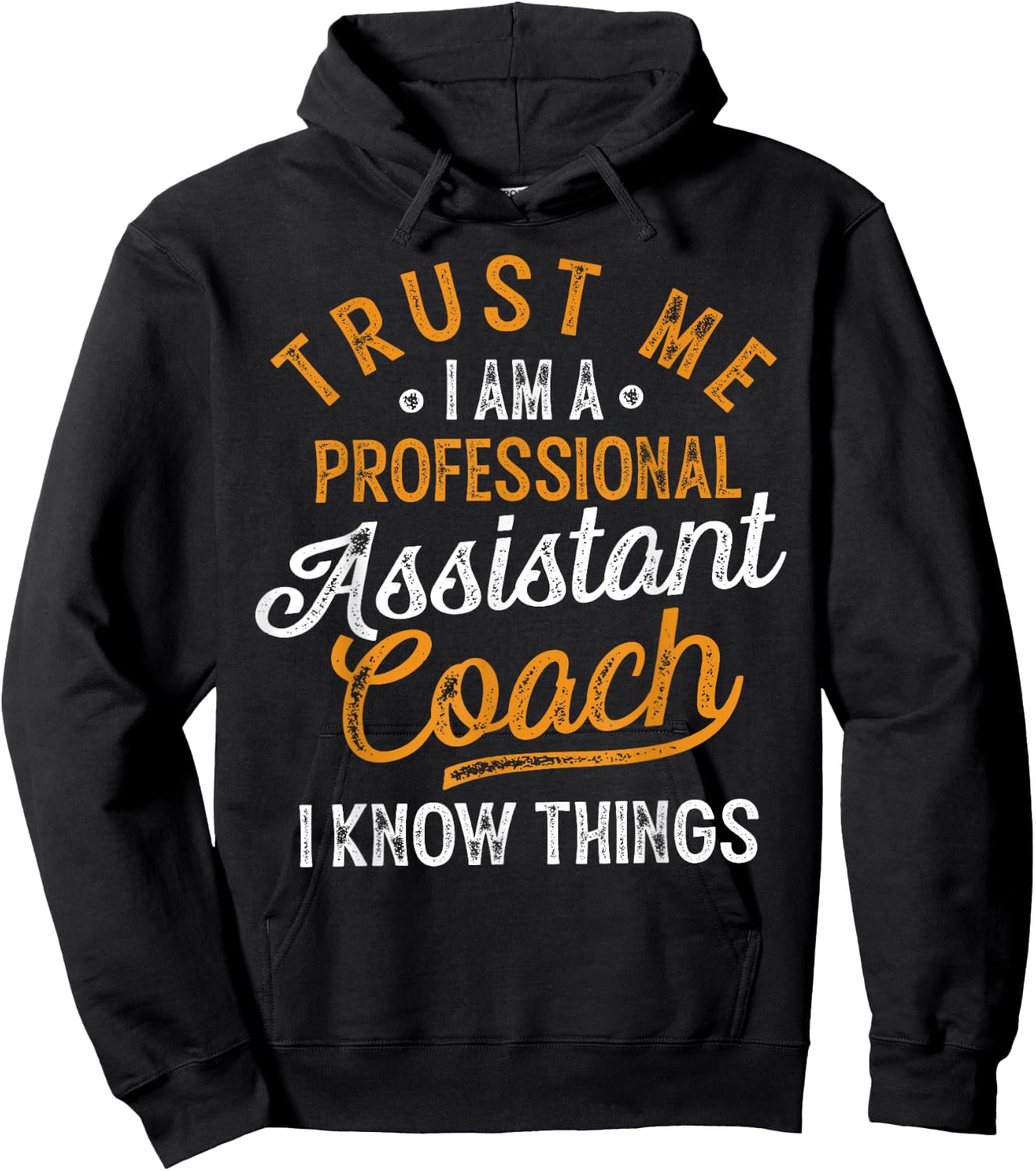 Trust Me i Am A Professional Assistant Coach Gifts Coaching Hoodie - Hoodie | Black