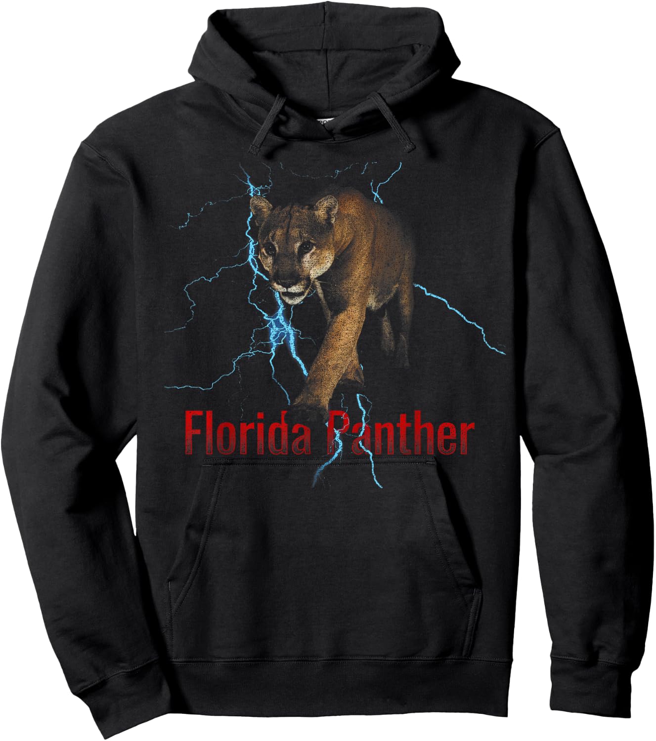 Florida Panther Lighting Endangered Florida Animal Hoodie - Hoodie | Black