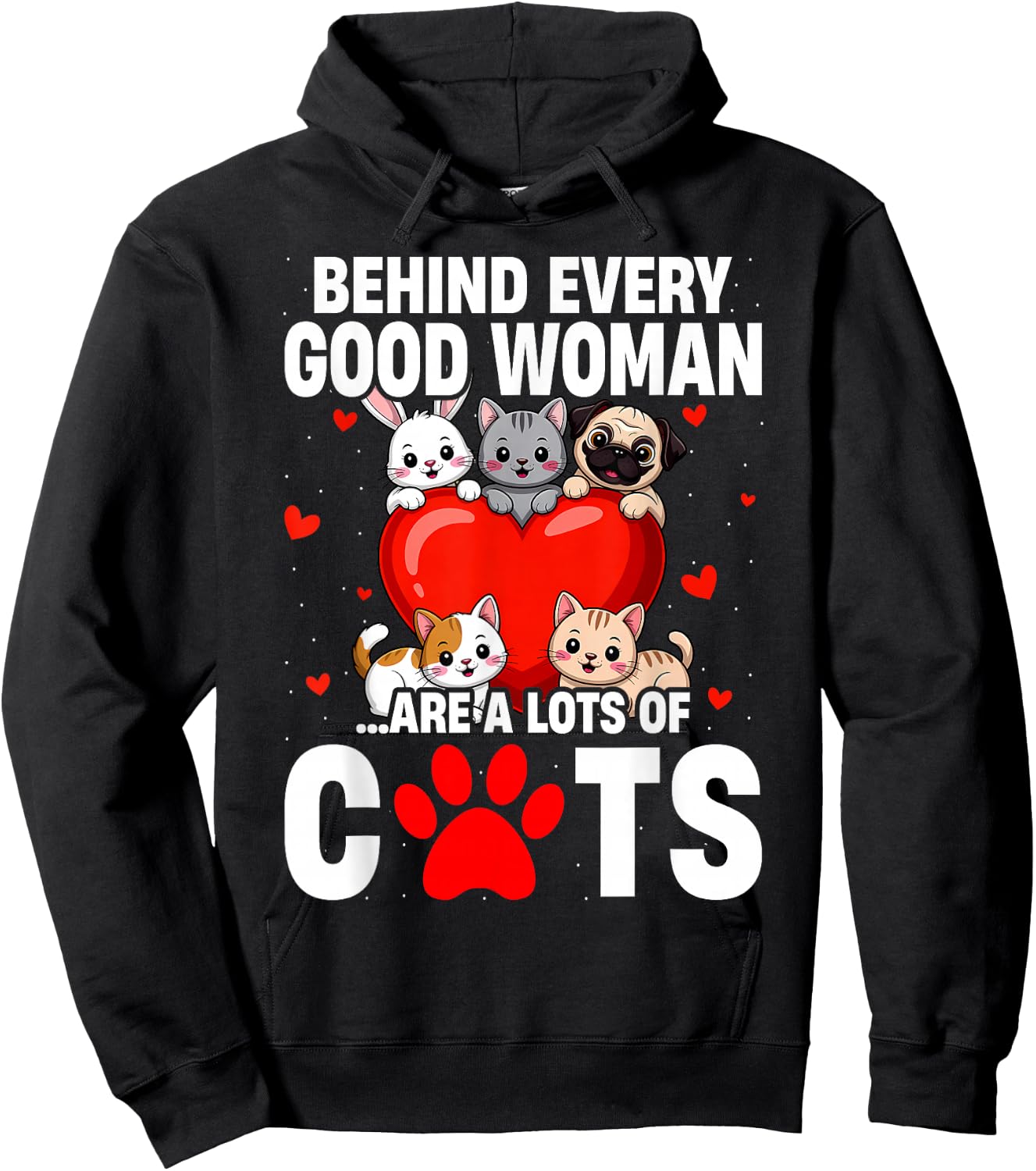 Behind Every Good Woman are a Lots of Cats Funny Cat Lovers Hoodie - Hoodie | Black