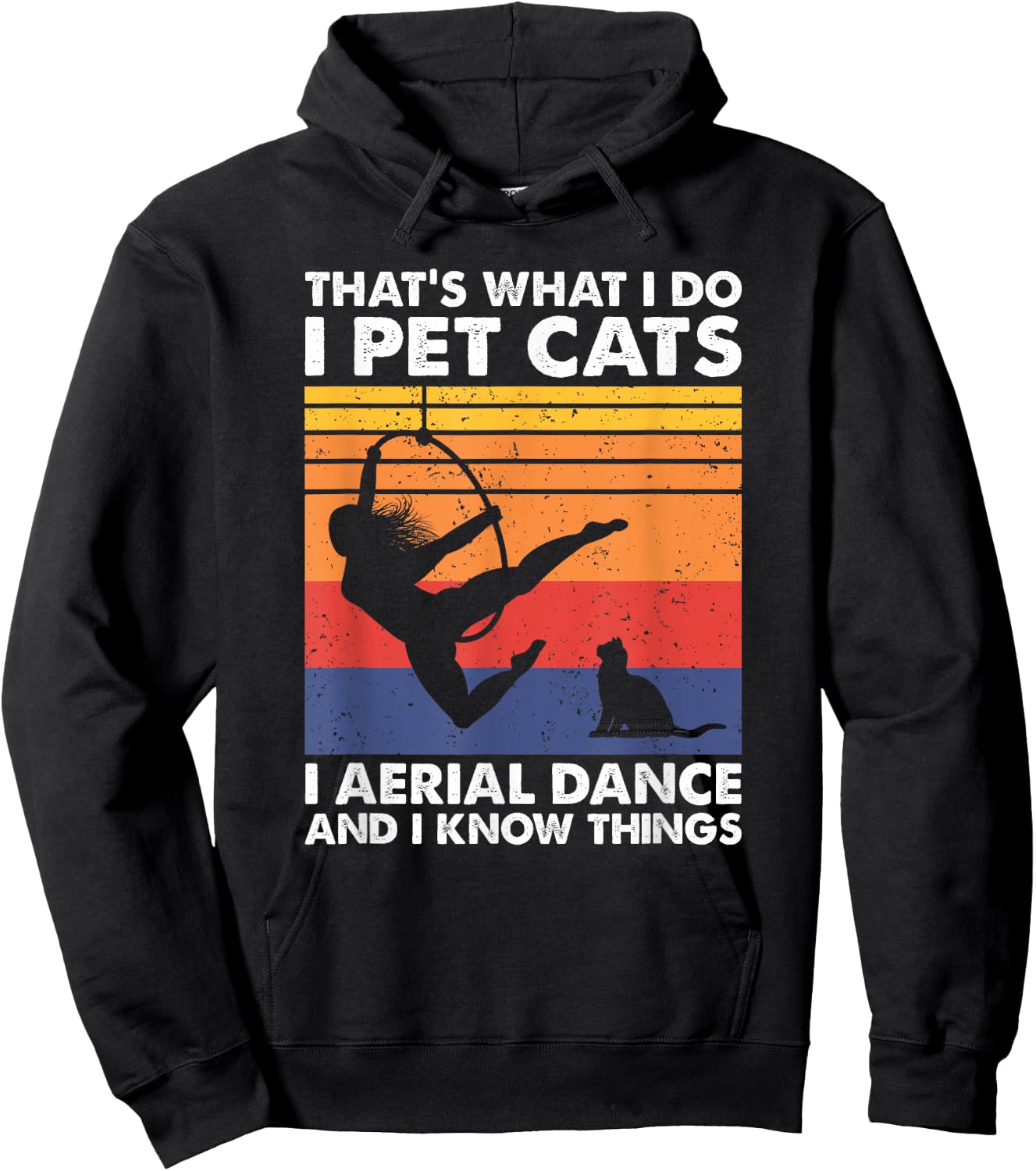 That's What I Do I Pet Cats, Vintage Lyra Aerial Hoop Dancer Hoodie - Hoodie | Black