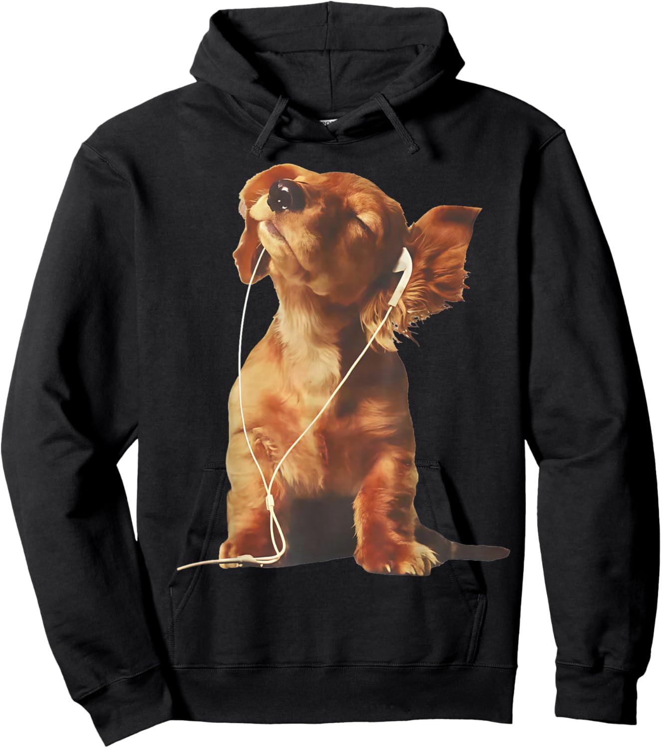 Cavalier King Charles Spaniel Listening to Music Dogs Lover Hoodie - Hoodie | Black