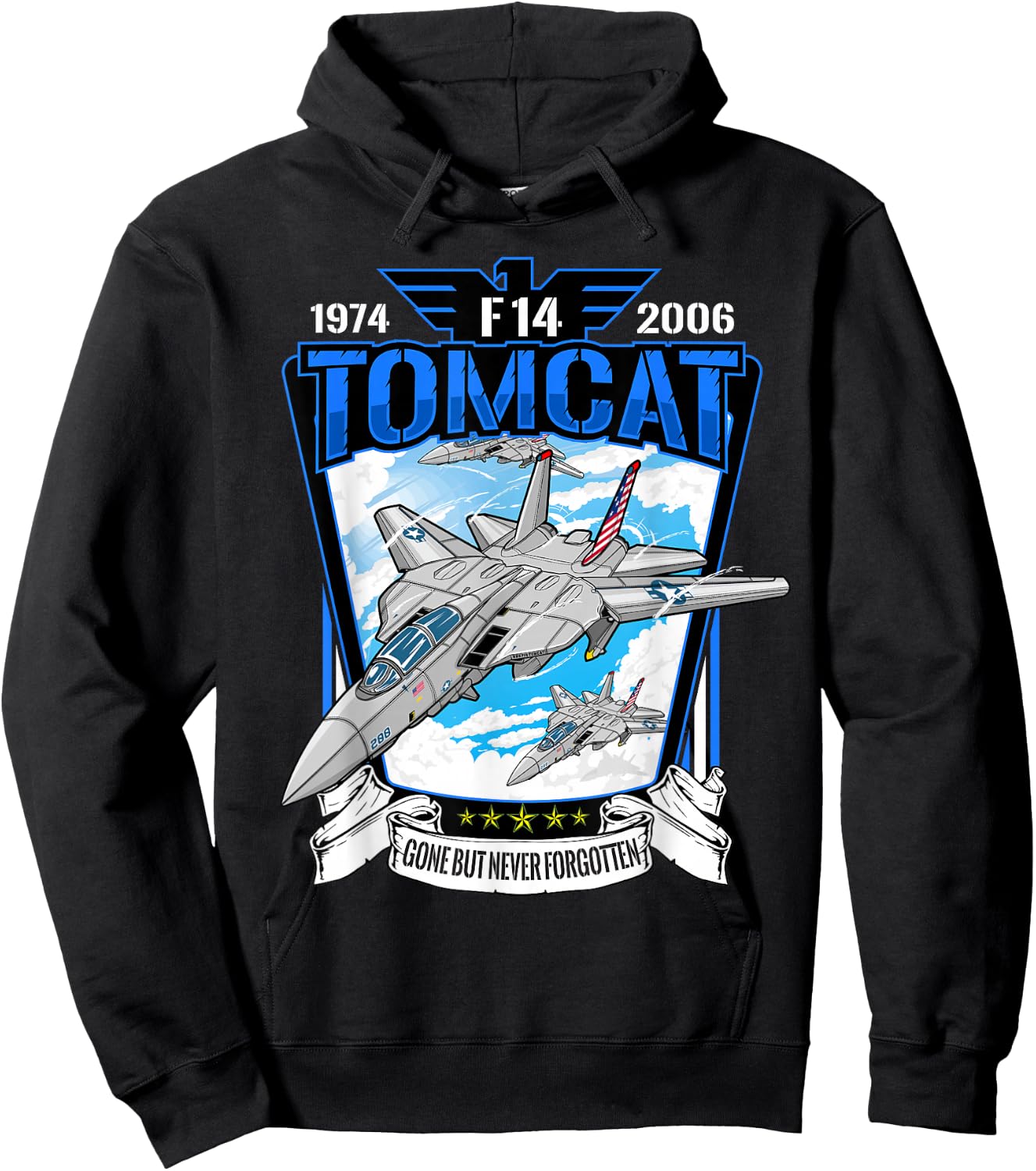 Military F14 Cat Fighter Jet for Airshow Avgeeks Hoodie - Hoodie | Black