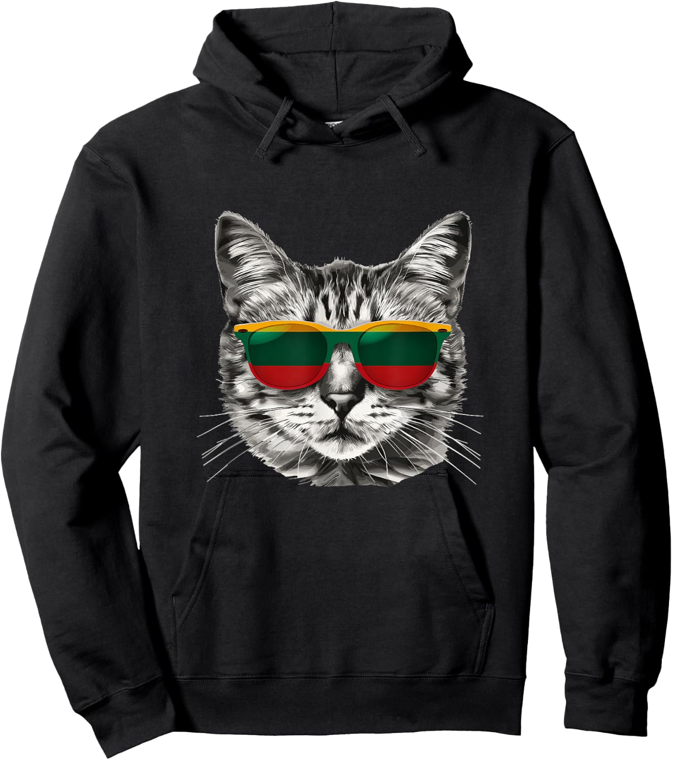 Lithuanian Flag Cat Owner Souvenirs Products Kitten Hoodie - Hoodie | Black