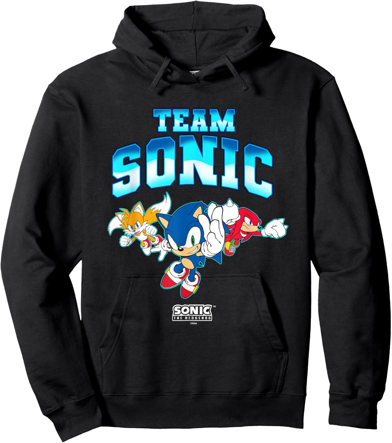 Sonic The Hedgehog Team Sonic Main Trio Epic Group Shot Hoodie - Hoodie | Black