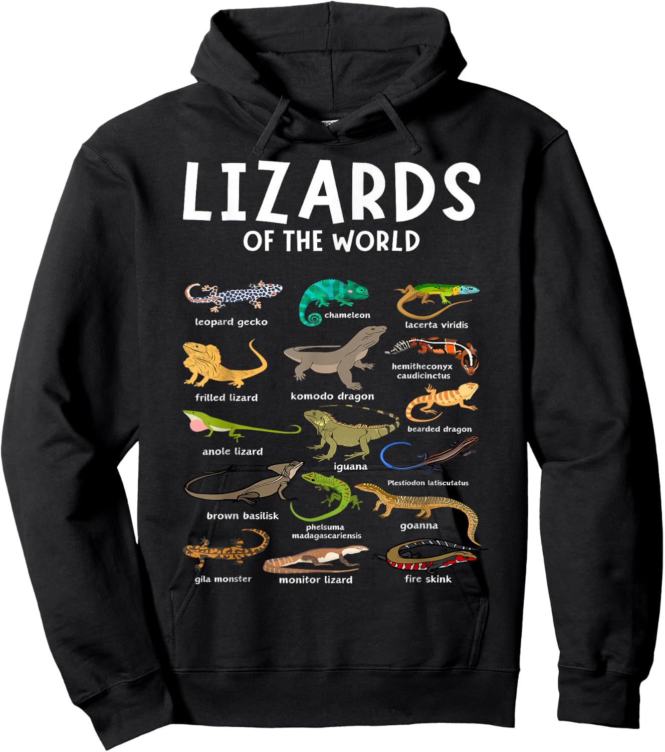 Types of Lizards of the World Reptile Herpetology Lizard Hoodie - Hoodie | Black