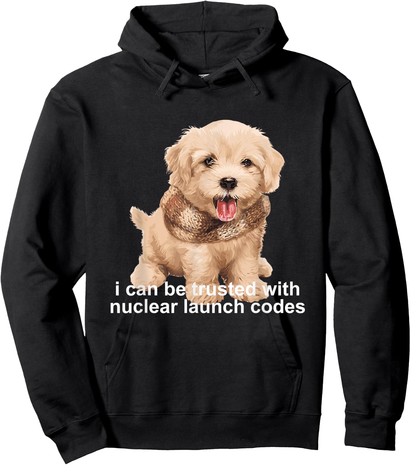 I Can Be Trusted With Nuclear Launch Codes Quote Hoodie - Hoodie | Black