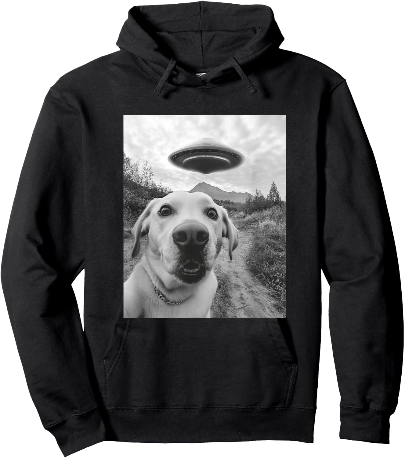 Funny Labrador Selfie with UFO Hoodie - Hoodie | Black