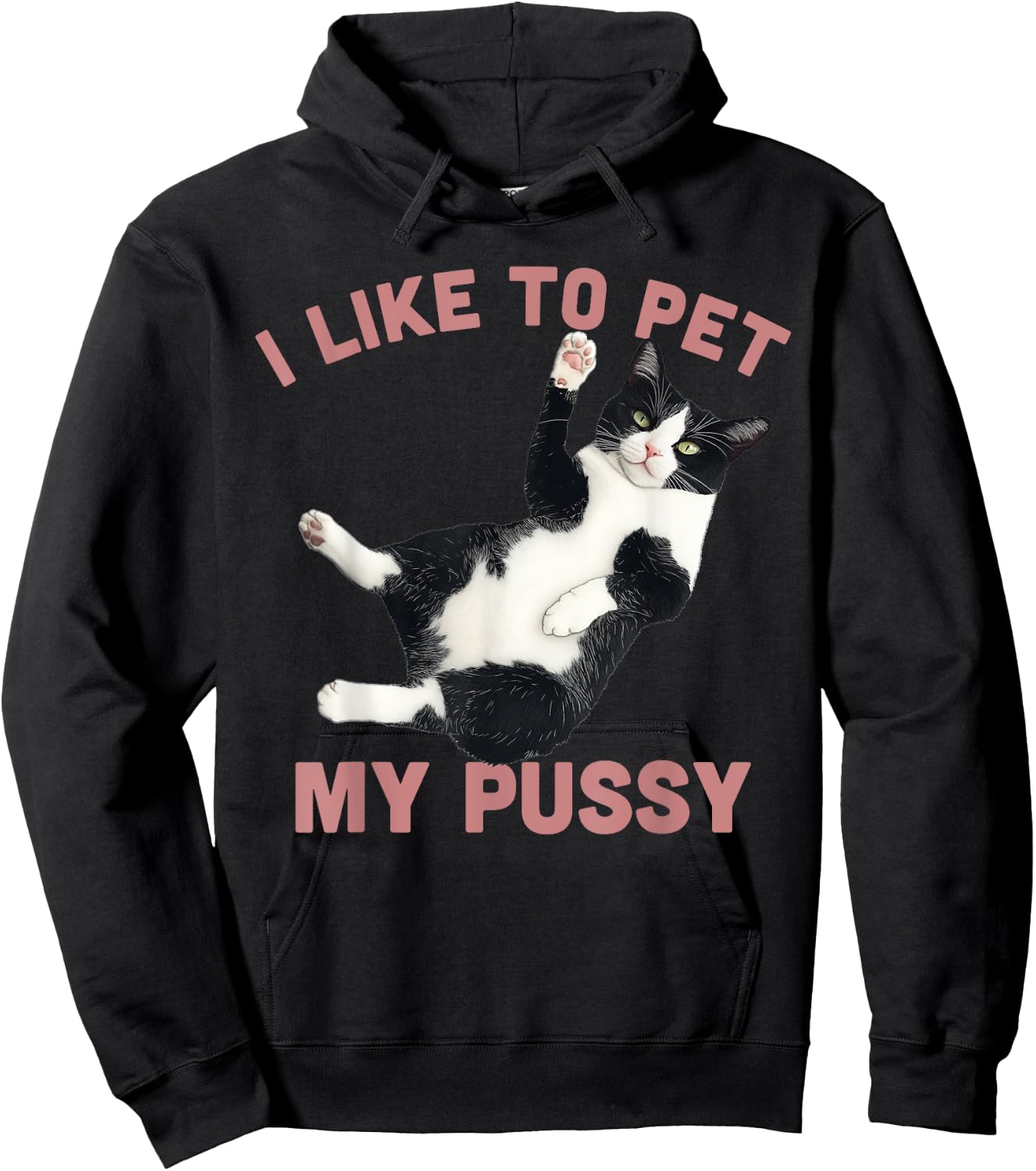 Like To Pet My Pussy Naughty Adult Cat Humor Saying Hoodie - Hoodie | Black