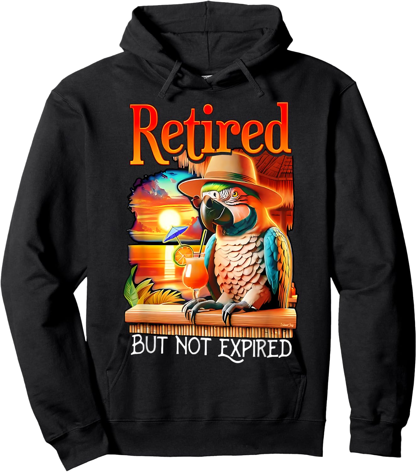 Retired But Not Expired Parrot Summer Vacation Retirement Hoodie - Hoodie | Black