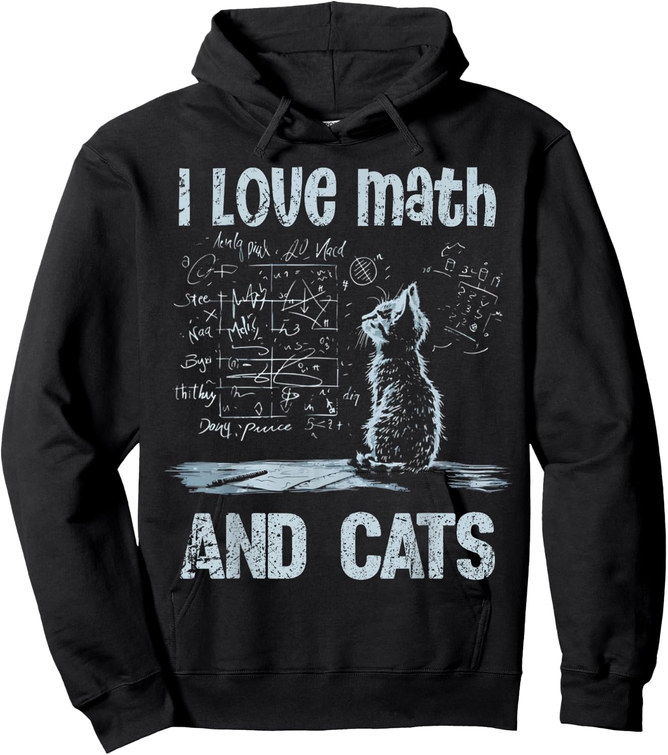 I Love Math and Cats Funny Cat Lover Science Teacher Student Hoodie - Hoodie | Black