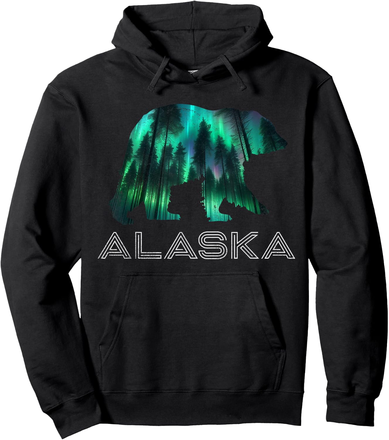 Alaskan Grizzly Bear Alaska Northern Lights Souvenir Hoodie - Hoodie | Black