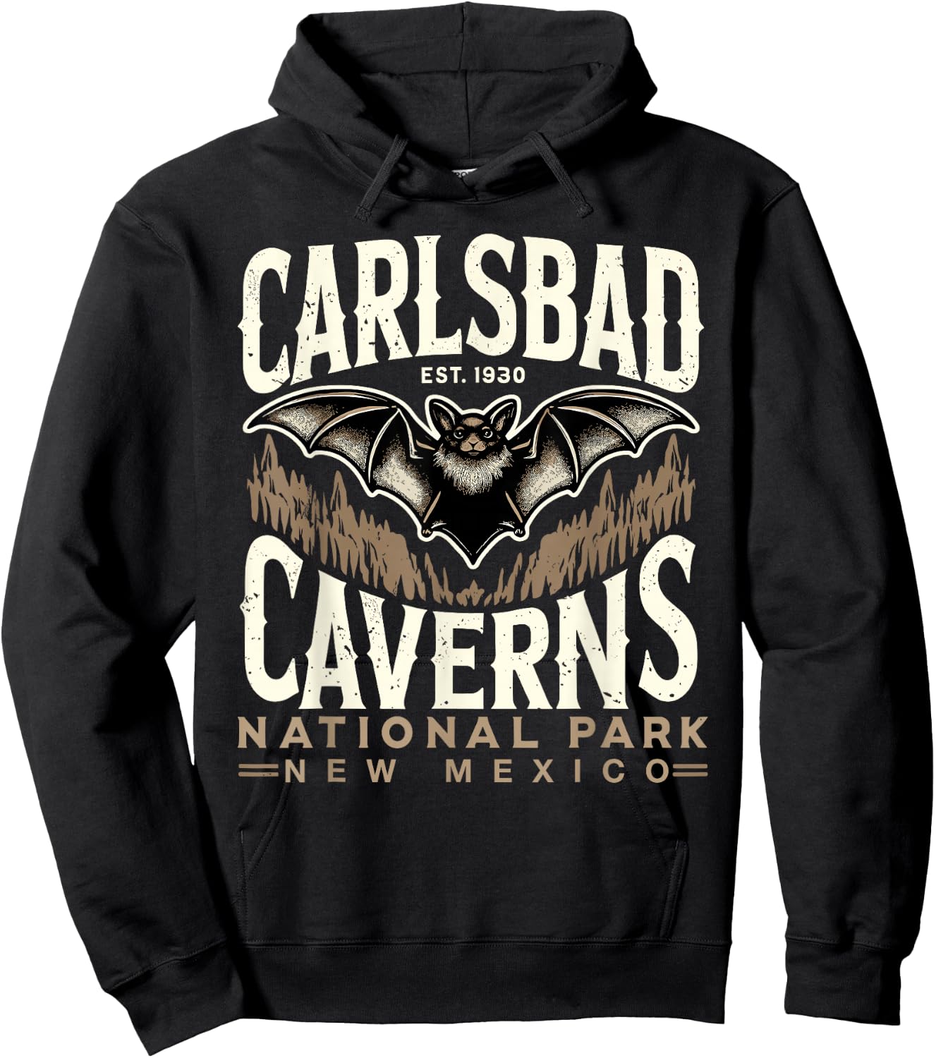 Carlsbad Caverns National Park Bat Carlsbad Souvenir Hoodie - Hoodie | Black