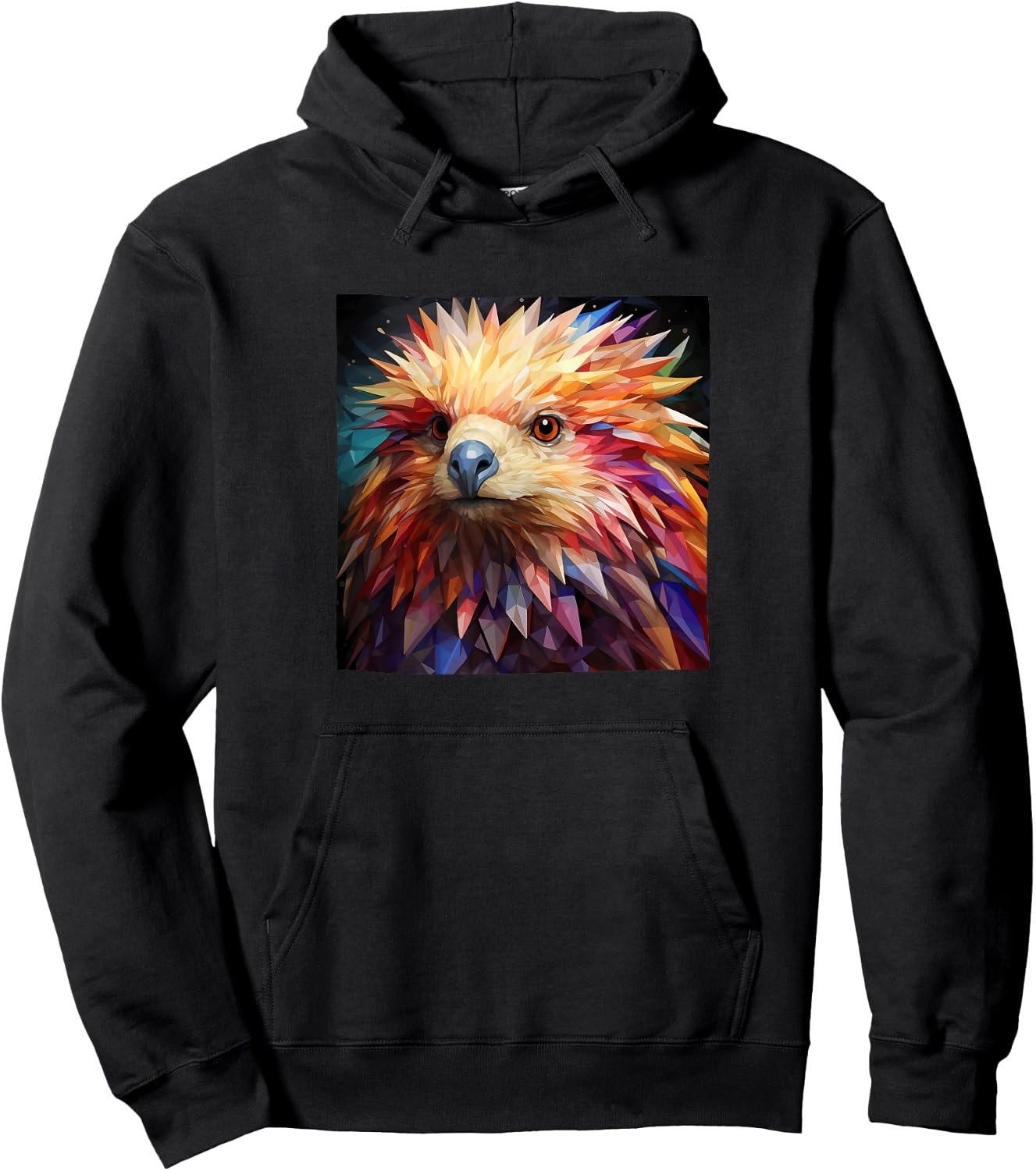 Porcupine Colorful Graphic Hoodie - Hoodie | Black