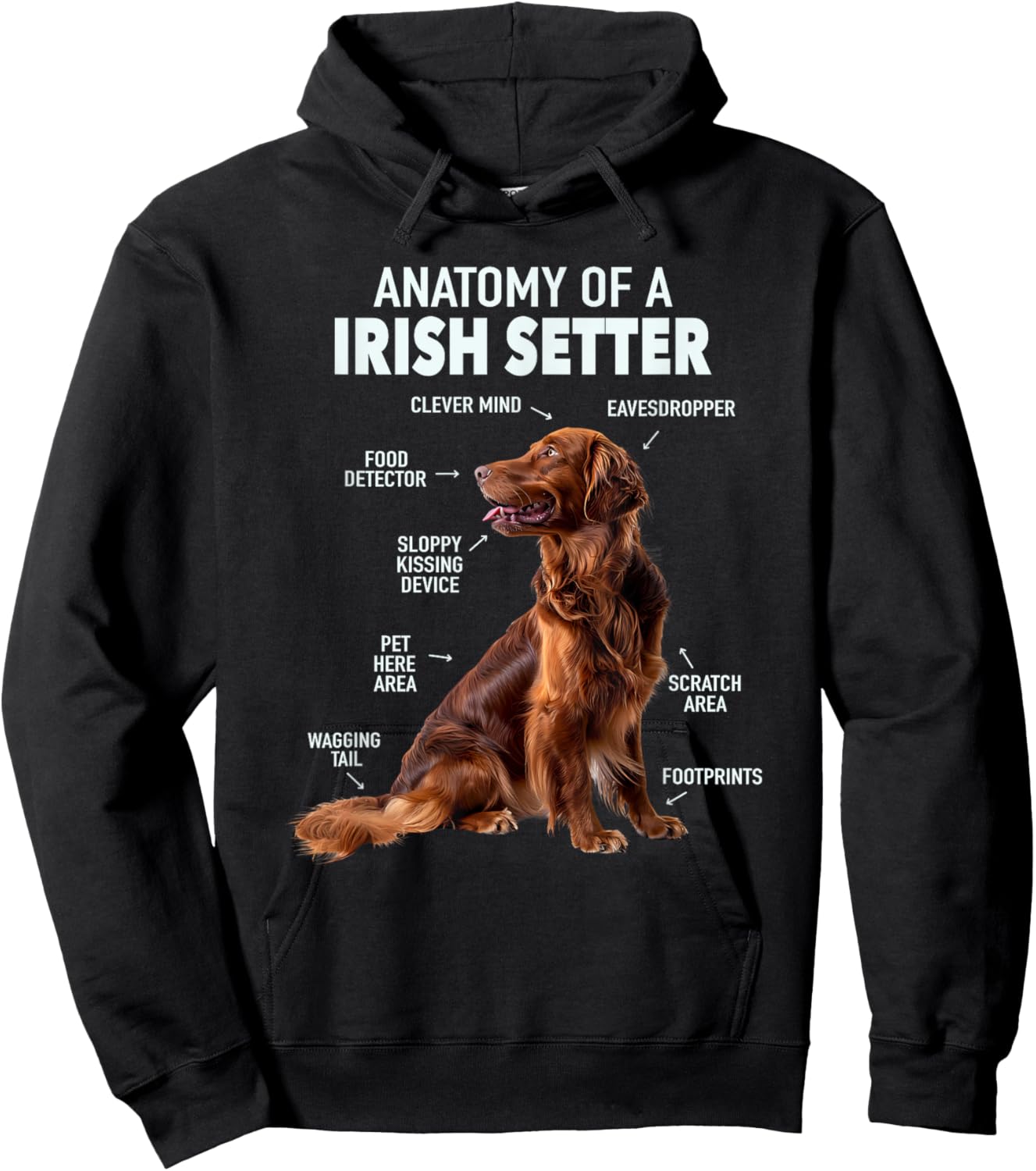 Anatomy Of A Irish Setter Hoodie - Hoodie | Black