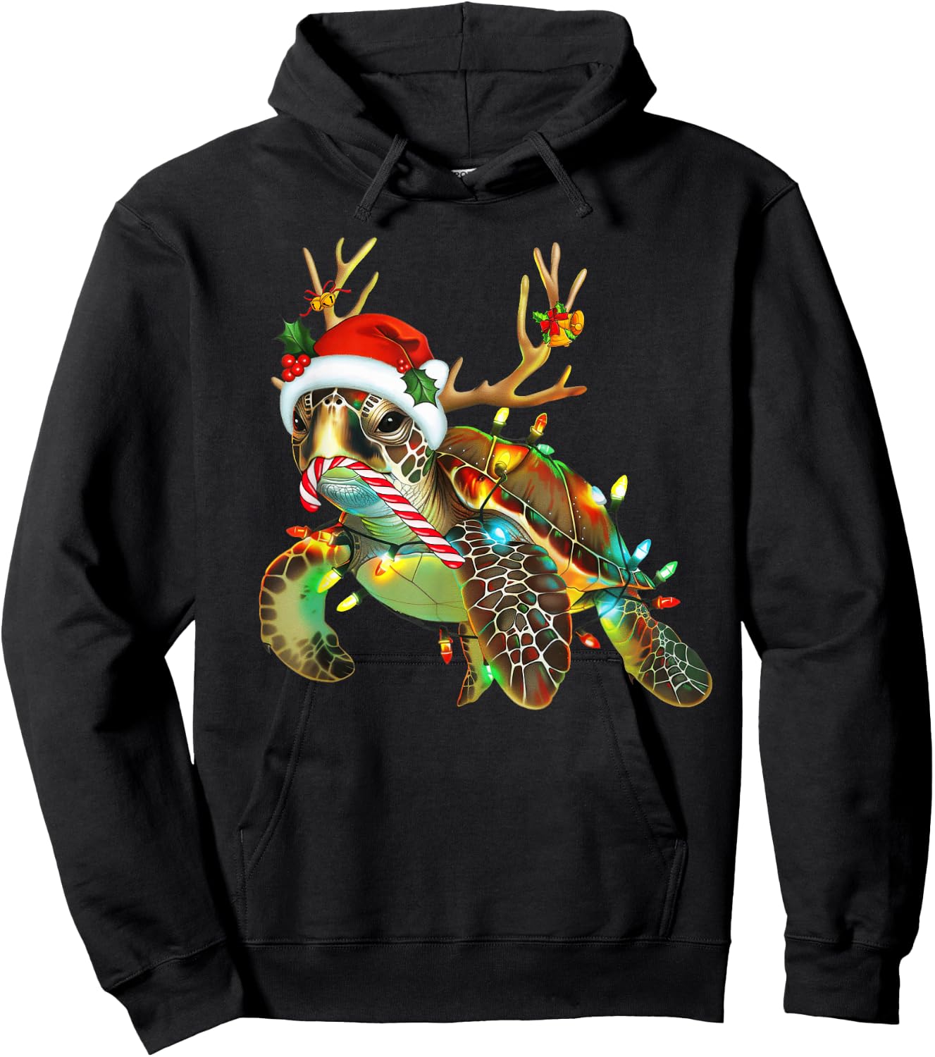 Sea Turtle Christmas Lights Santa Hat Merry Christmas 2024 Hoodie - Hoodie | Black