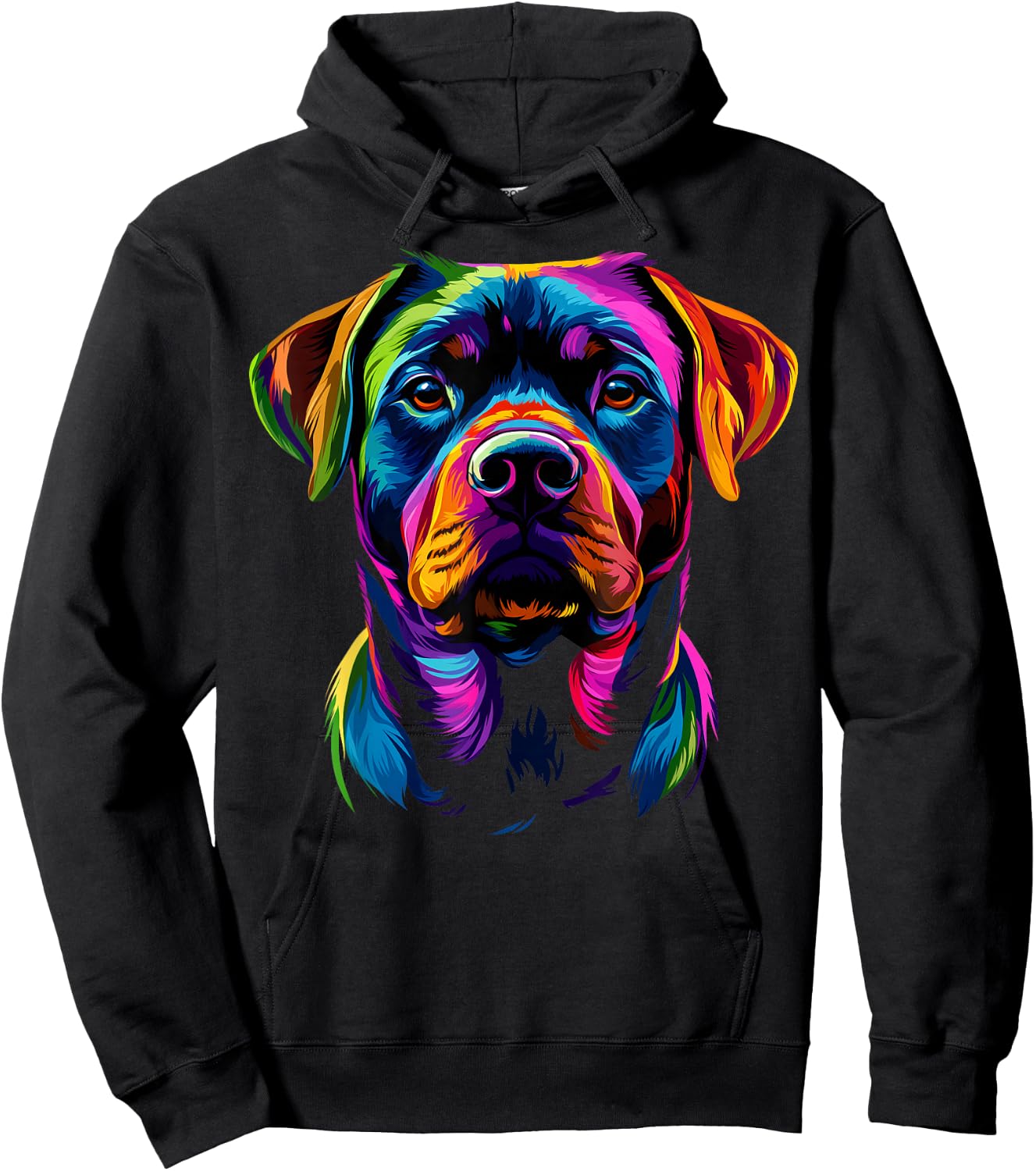 Colorful Rottweiler Face Rottie Dog Lover Men Women Black Hoodie - Hoodie | Black
